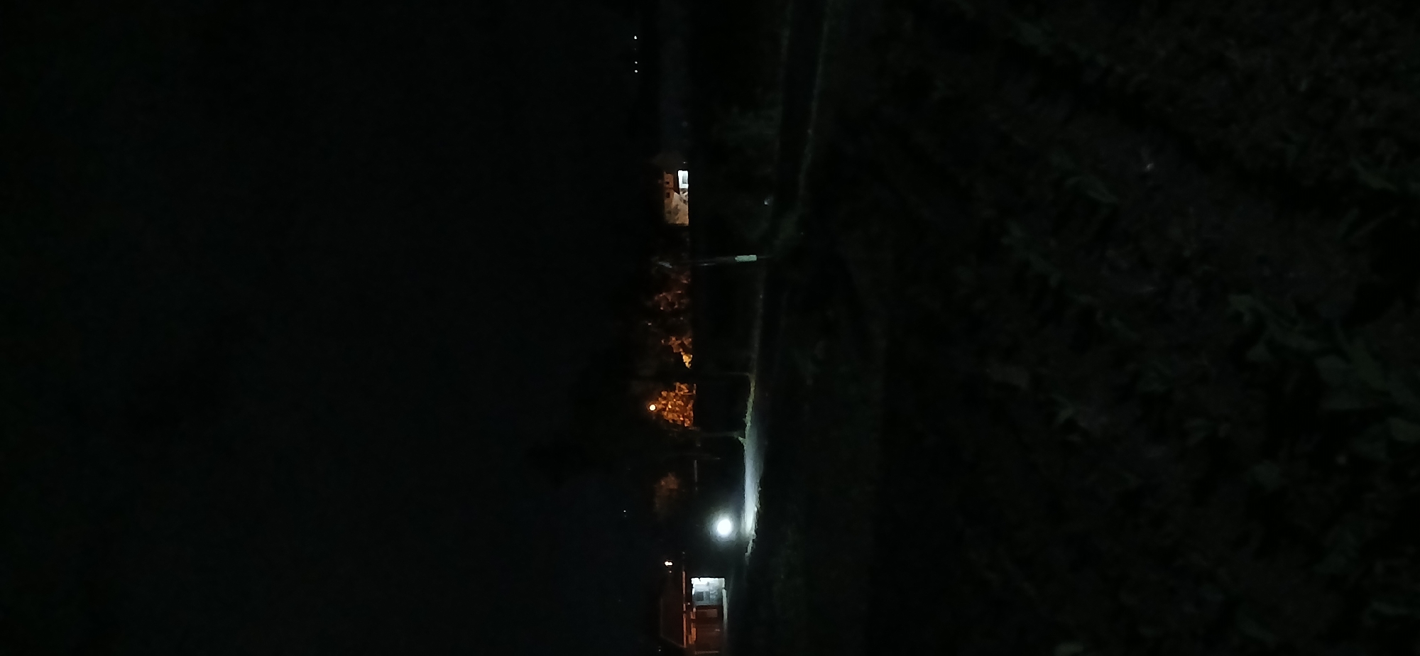 This is a night-time vertical, full-shot photograph taken in the city of Sekarputih, Indonesia. The scene depicts a rural or semi-rural environment. In the foreground, there is a dark, uncultivated field with visible vegetation, obscured by darkness. A dirt road or path runs horizontally across the middle ground, illuminated by the headlights of an unseen vehicle, which is also casting a bright light onto a small, simple structure situated on the left side of the road. This structure appears to be a building or dwelling.
Further into the background, a line of trees and foliage is visible. Beyond the trees, several buildings with illuminated windows are discernible, suggesting a small settlement or a cluster of houses. Streetlights or other artificial light sources create patches of orange glow among the trees and on the buildings. The overall impression is that of a quiet, sparsely populated area at night, with human activity indicated by the illuminated structures and the vehicle's presence. The sky is completely dark, indicating it is well after sunset.