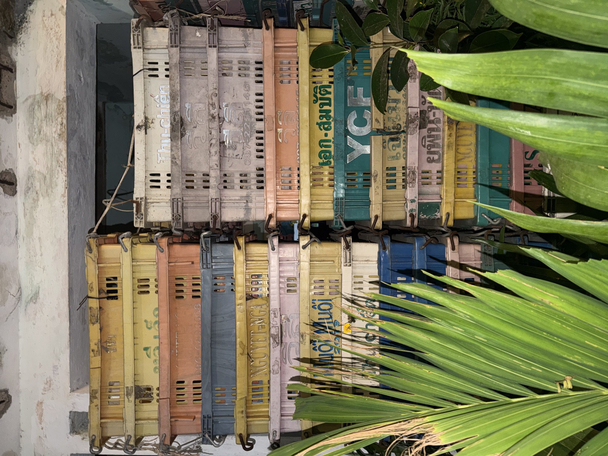 A stack of colorful, weathered plastic crates are hanging in what appears to be a doorway or opening in a wall in Da Nang, Vietnam. The crates are stacked two rows high and are of various colors including yellow, peach, grey, pink, blue, green and white. Vietnamese text is visible on many of the crates. The crates appear to be linked together and suspended by metal wire. To the right of the crates is a large tropical plant obscuring the view. The wall or doorway surrounding the crates is unfinished and shows signs of wear.