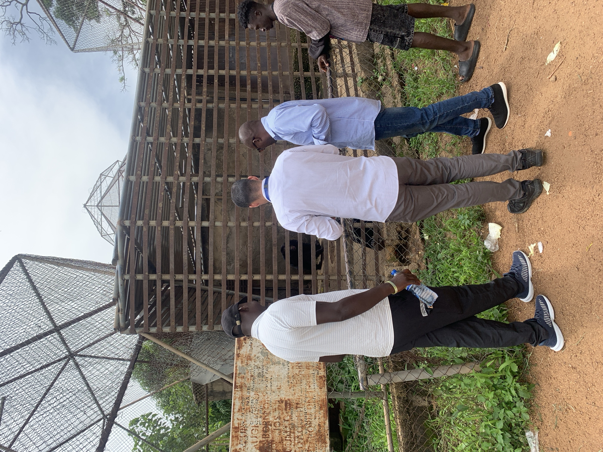 In Jos, Nigeria, a group of four men are gathered in front of an enclosure at what appears to be a zoo or animal sanctuary. The enclosure is constructed of metal bars and mesh, with a rough, naturalistic interior. A sign with faded text is visible on the left, partially obscured by a chain-link fence. One man, wearing a white striped polo shirt and black pants, stands closest to the fence, holding a water bottle. To his right, another man in a blue striped shirt and jeans looks into the enclosure. A third man, in a white pinstripe shirt and gray pants, is also observing the enclosure. The fourth man, on the far right, is wearing a brown patterned shirt and shorts. Inside the enclosure, a chimpanzee is partially visible, perched on a wooden structure. The ground is dusty red earth, with patches of dry grass and scattered debris. The sky is overcast.