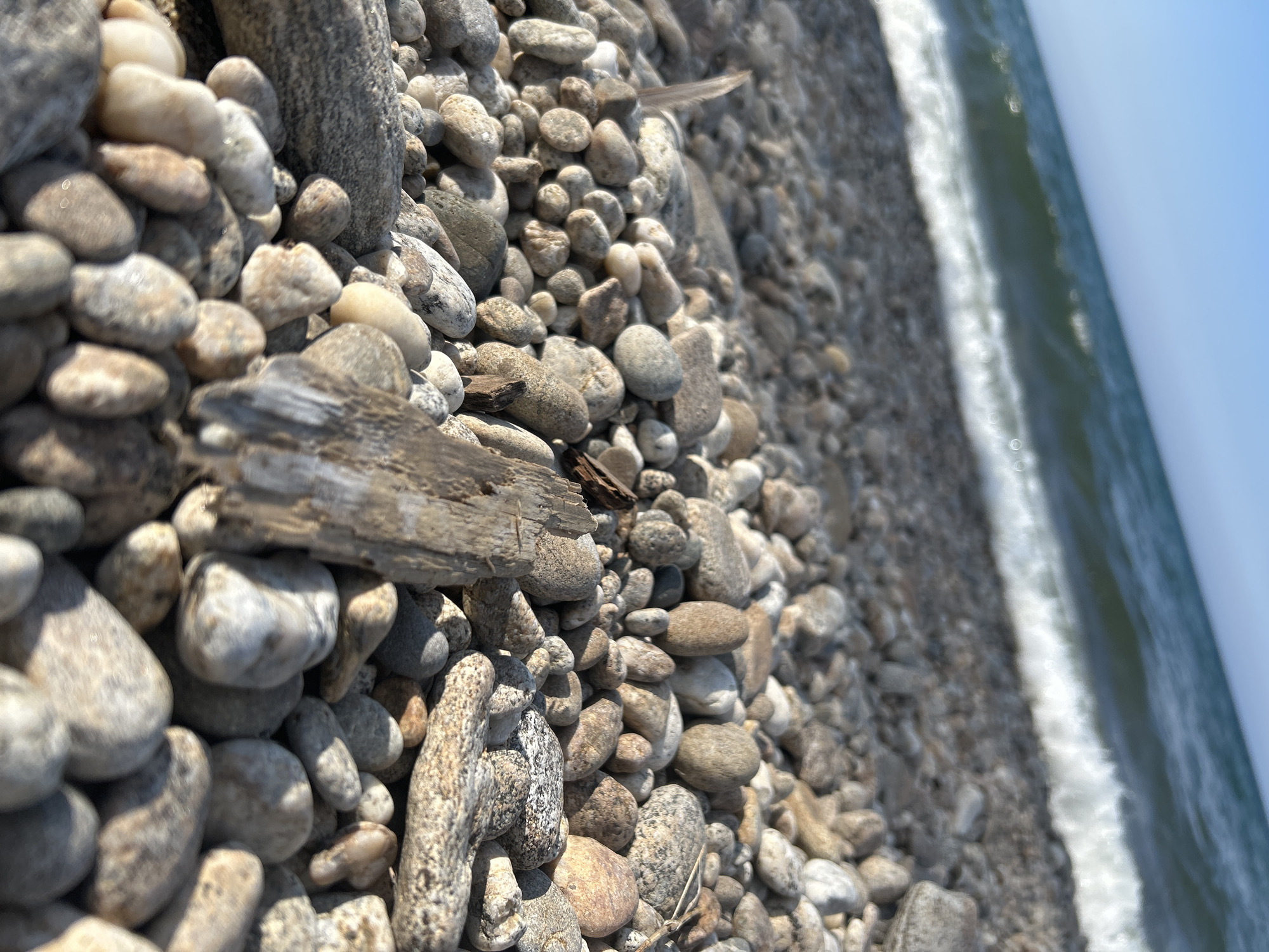 A low-angle, close-up shot shows a pebble beach with a body of water in the background. The pebbles are a mix of neutral colors, including gray, beige, and white, and vary in size. A piece of weathered driftwood is positioned in the foreground, lying horizontally across several stones. The water is calm with a gentle wave breaking on the shore. The sky is clear and blue, indicating daytime. The location is specified as Tolbazikha, Russia. There are no people or animals visible in the image.