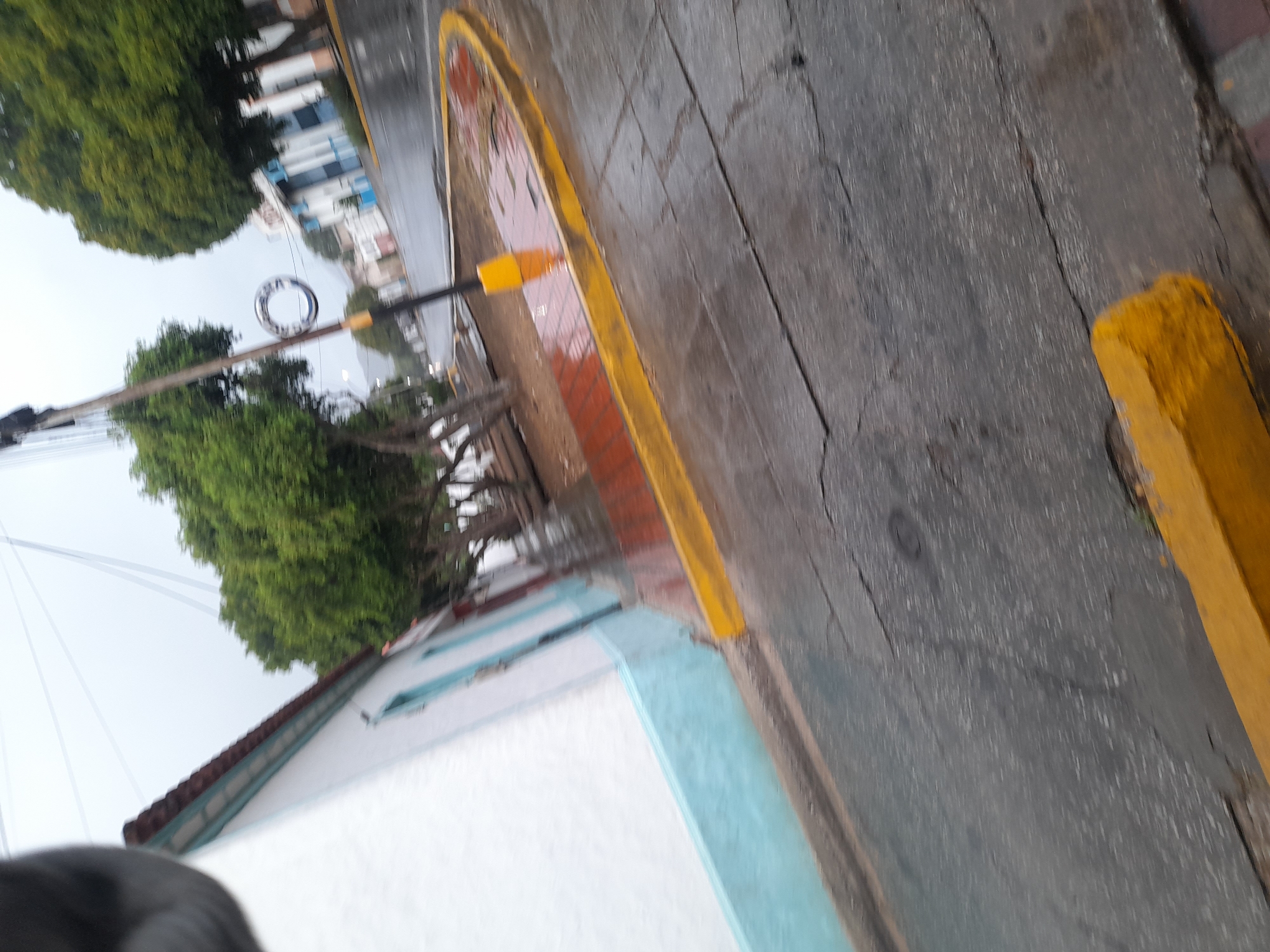 The image depicts a street scene in the city of Santa Ana, Venezuela, under overcast conditions. A white building with a light blue base and a red-tiled roof is visible on the left side of the frame. In the foreground, a wet asphalt road with visible cracks is present, bordered by a raised curb painted yellow. A circular ornamental structure is mounted on a pole in the middle ground. Several trees with green foliage line the street, and some appear to be young. In the background, other buildings and trees can be observed, suggesting an urban or semi-urban environment. The ground is wet, indicating recent rainfall. There are no people or vehicles clearly visible in the image.