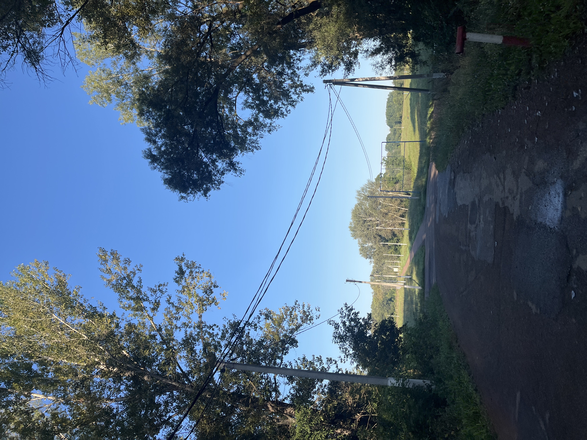 The image depicts a road leading through a rural or suburban area, likely in Blagoveshchensk, Russia, given the context. The road surface is asphalt, showing signs of wear and tear with visible potholes. On either side of the road, there are tall trees with dense green foliage, creating a natural canopy. Power lines are strung between utility poles that line the road. In the distance, more trees and greenery are visible, suggesting a relatively undeveloped landscape. The sky is clear and blue, indicating fair weather. There are no people or vehicles visible in the image. A red and white striped post is situated on the right side of the road near the foreground. The overall scene conveys a sense of quiet and natural beauty.