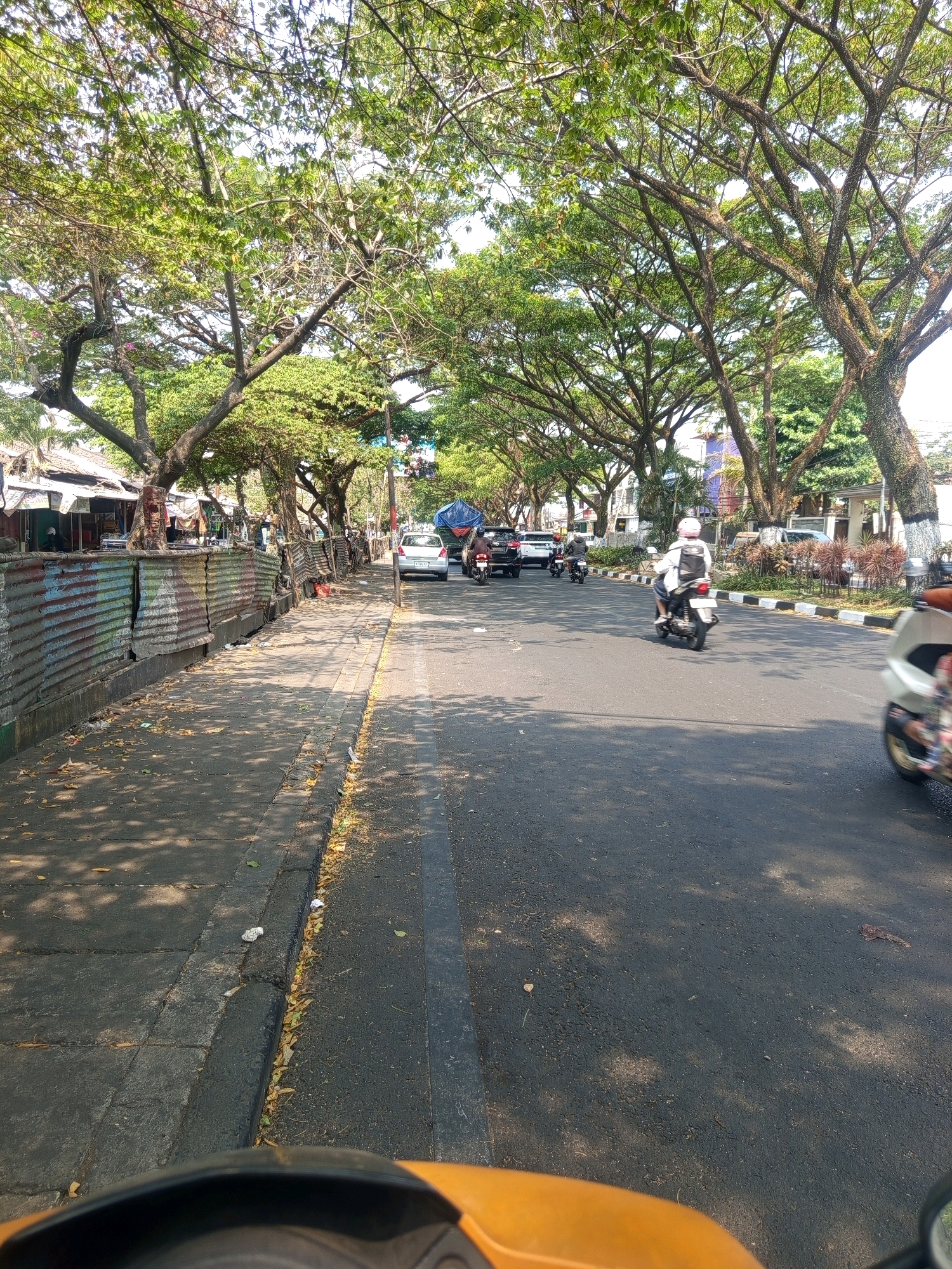 The image depicts a street scene in Malang, Indonesia, characterized by a tree-lined road and a sidewalk. The perspective suggests the photo was taken from a moving vehicle, likely a scooter, given the visible handlebars in the foreground. On the left side of the street, a sidewalk runs alongside a row of small buildings or stalls, separated from the road by a corrugated metal fence and vegetation. Fallen leaves are scattered across the sidewalk.
The road itself is paved and shows tire marks. Several vehicles are present, including motorcycles with riders, cars, and what appears to be a truck covered with a blue tarp in the distance. One motorcycle rider, wearing a white jacket and helmet, is prominently featured in the mid-right of the frame, moving away from the camera. Another motorcycle rider on the left also appears to be moving forward. The trees arch over the road, creating a canopy of shade and dappled sunlight on the pavement. The overall atmosphere suggests a typical day in a moderately busy urban environment.