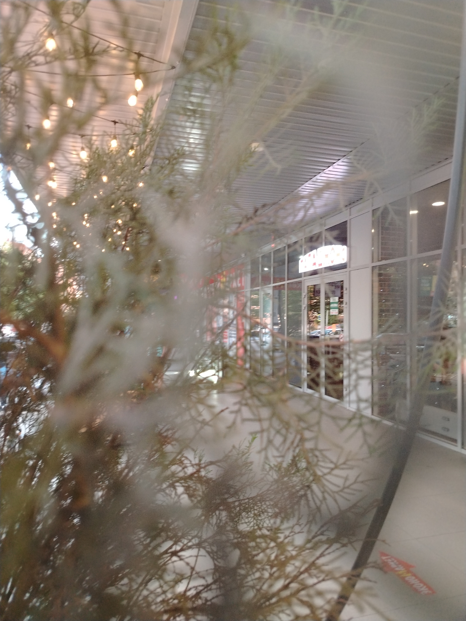 The image captures an exterior view of a modern building with a glass facade, likely in Krasnodar, Russia. The building features a row of large windows and glass doors, revealing the interior which appears to be a commercial establishment. A prominent sign with illuminated letters, possibly a logo or store name, is visible above the entrance. Outside, a pathway or sidewalk runs in front of the building, with an arrow-shaped sign on the ground indicating direction. The foreground is partially obscured by the branches of a conifer tree, with numerous small, glowing lights strung along wires, suggesting festive or decorative lighting. The overall impression is of a well-lit commercial area, possibly with a festive ambiance due to the lights and the presence of the tree.