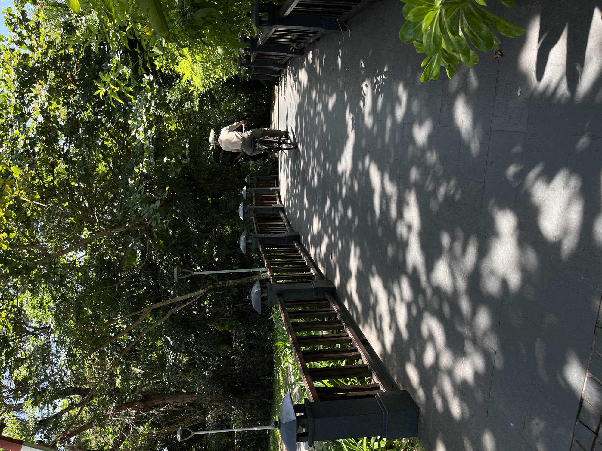 The photograph depicts a cyclist riding on a shaded path in Đà Nẵng, Vietnam. The path, made of dark gray pavers, is lined with a wooden railing and obscured by the shadows of trees. The cyclist is wearing a light-colored shirt and pants and a helmet. The scene is bathed in sunlight, creating a contrast between the bright path and the dark shadows. Dense green foliage surrounds the path. Street lamps are visible along the path.