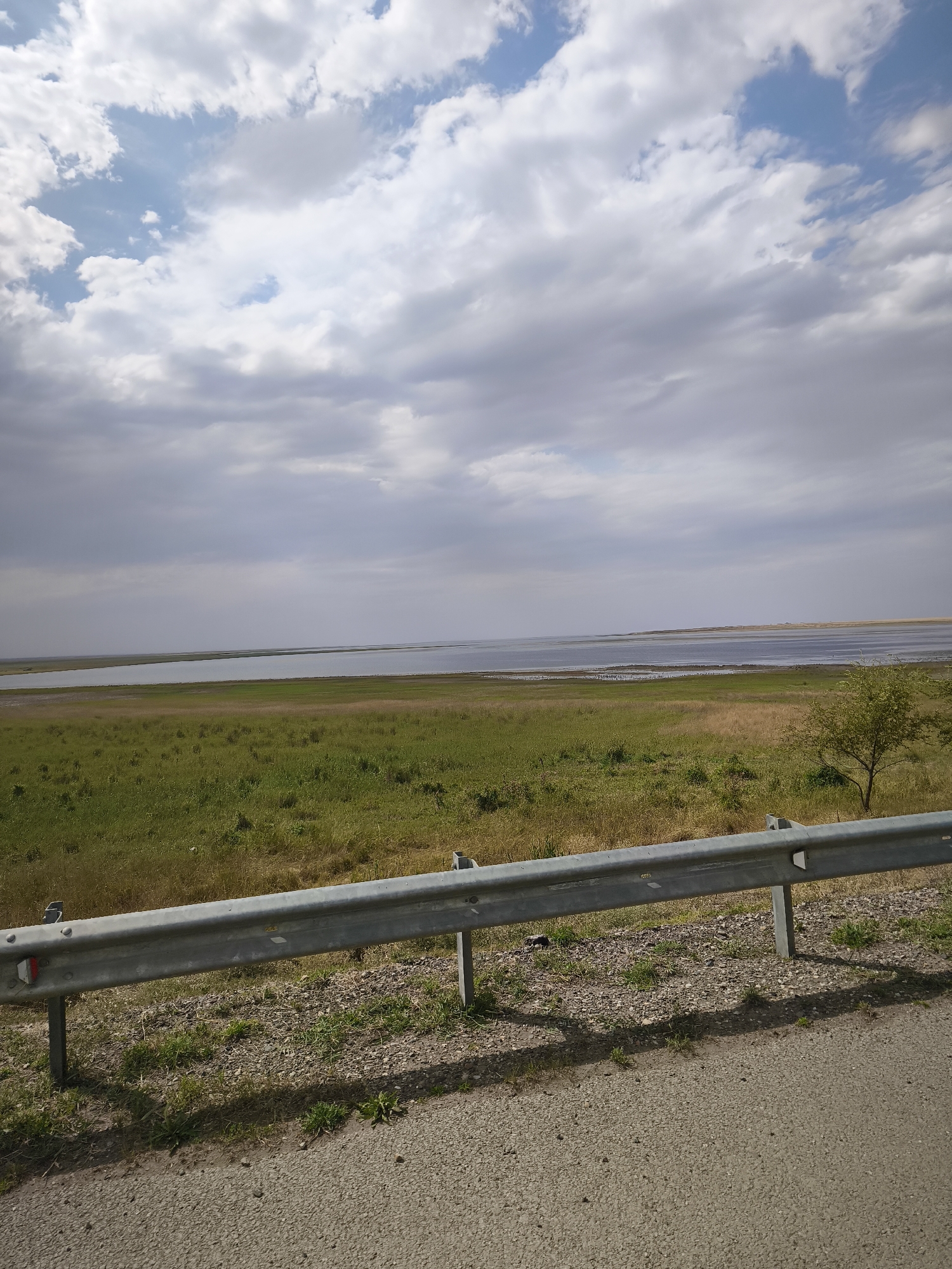 This is a landscape photograph taken outdoors on a cloudy day. The foreground features a grey metal guardrail running horizontally across the frame, supported by posts. Beyond the guardrail is a strip of gravel and green vegetation, with sparse patches of dry grass. A paved road surface is visible in the lower right corner.
The midground consists of a large, relatively flat expanse of green grassland with some patches of yellowed, dry grass. A solitary, sparsely leaved tree stands on the right side of this grassy area.
The background is dominated by a wide, calm body of water, likely a lake or sea, stretching to the horizon. The water is a muted blue-grey color. In the distance, the land on the opposite shore is visible as a low, indistinct line.
The sky above is filled with a mix of white and grey clouds, with patches of blue sky showing through. The lighting suggests it is daytime, likely mid-morning or afternoon, with diffused sunlight. The overall impression is one of a natural, somewhat open and expansive landscape. No people are visible, nor are there any explicit signs of human activity other than the guardrail and the road. The weather appears overcast but calm.