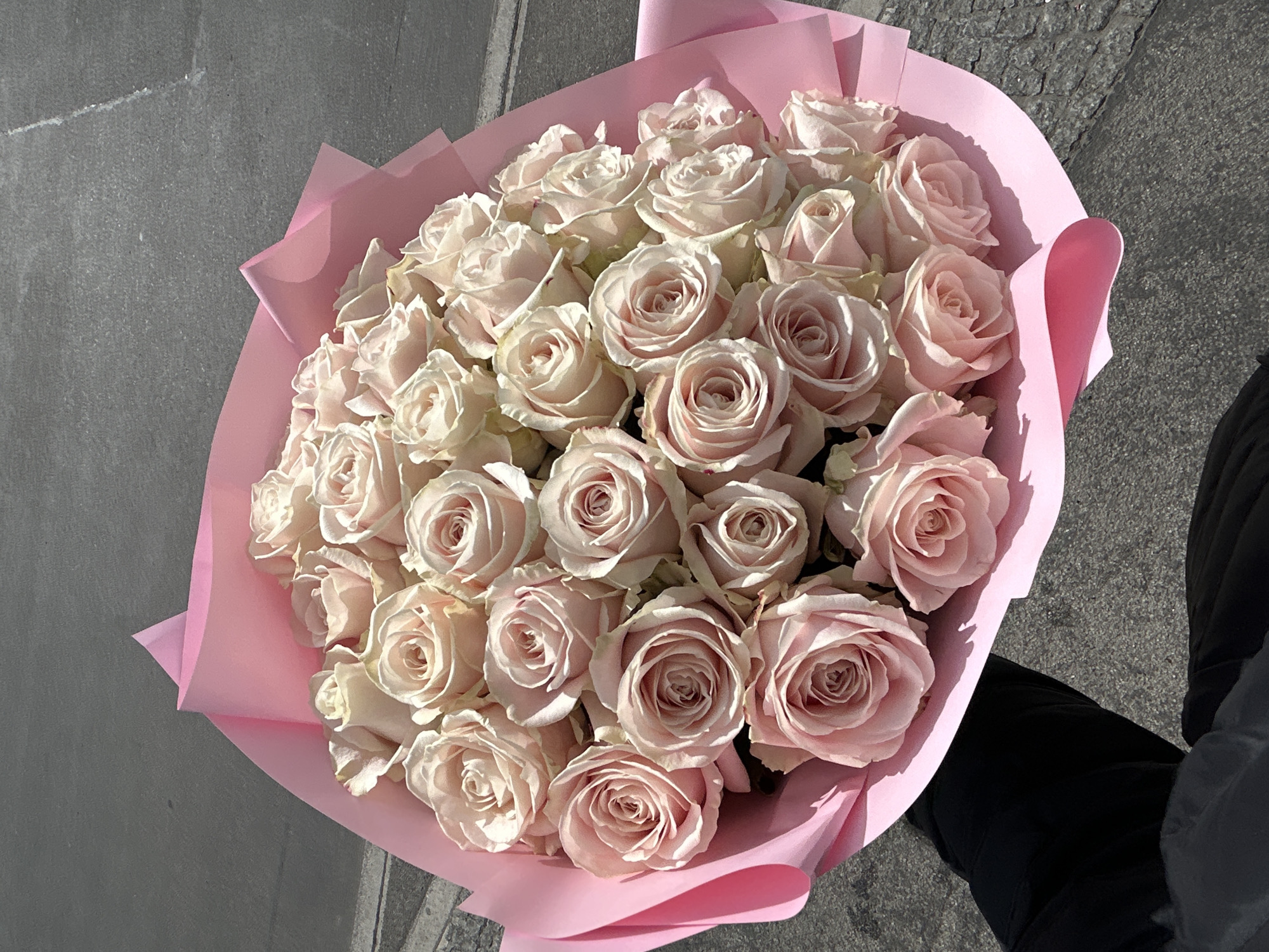 A bouquet of approximately 30 pale pink roses is wrapped in bright pink paper. The bouquet is held in someone's lap. The background includes concrete pavement and a black garment, possibly trousers. The location is an urban setting, potentially in Berlin, Germany, based on the aesthetic of the pavement. There is direct sunlight, causing shadows.