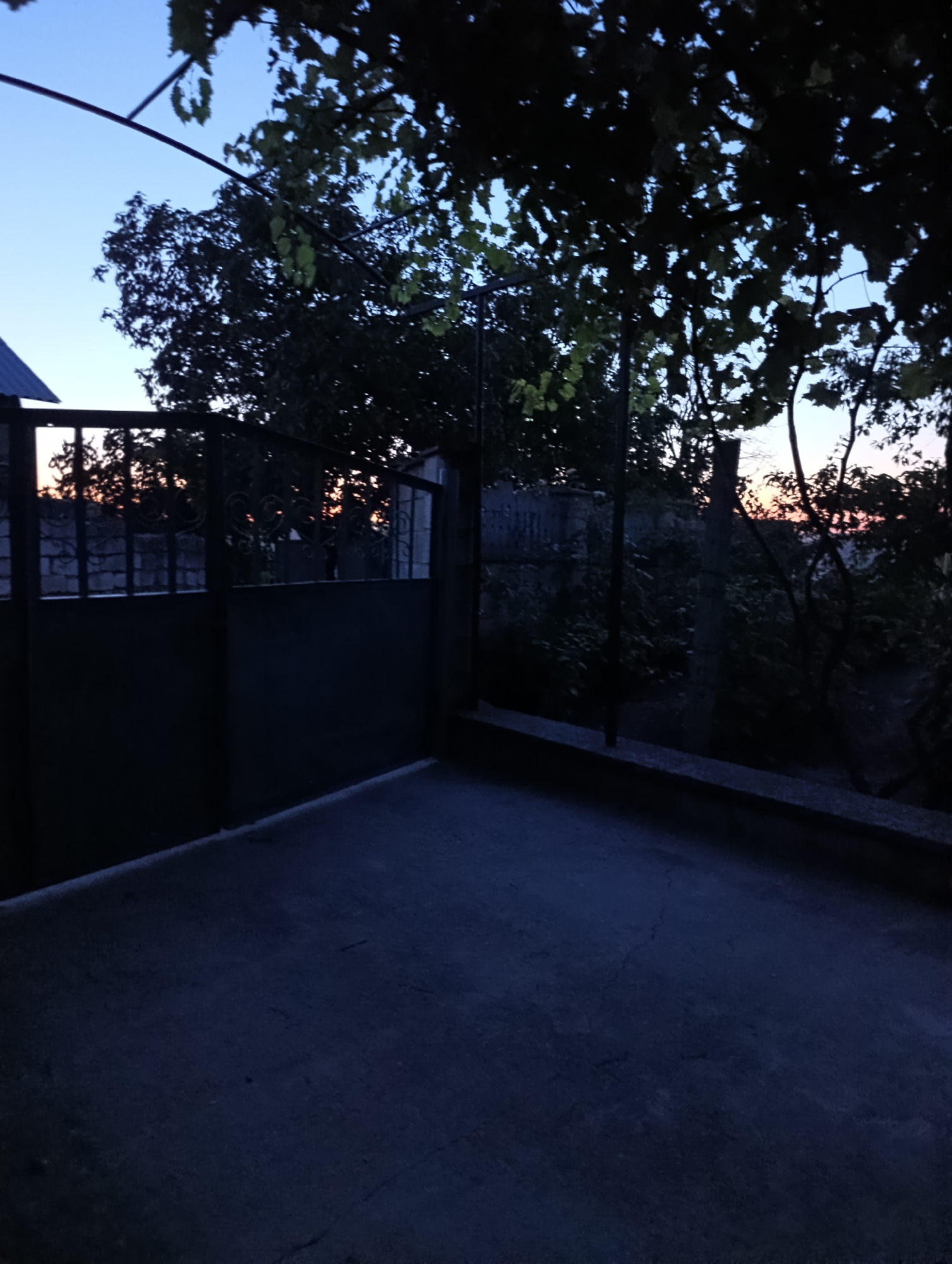 The image depicts a dimly lit scene in Roghi, Moldova, likely during dusk or dawn. In the foreground, a concrete surface fills the bottom half of the frame, appearing worn and textured. To the left, a dark metal gate stands closed, with a patterned railing visible above its solid lower section. Beyond the gate, a brick wall and the silhouette of a building with a sloping roof are discernible. Trees with dark foliage frame the upper portion of the image, their leaves silhouetted against a twilight sky. The sky transitions from a deep blue at the top to lighter hues near the horizon, where a faint orange glow suggests the setting or rising sun. A dark, dense area of vegetation is visible to the right of the gate, with some faint details of plants and possibly a fence. The overall atmosphere is quiet and still, with no people or animals present. The scene suggests a private yard or property at the edge of a settlement.