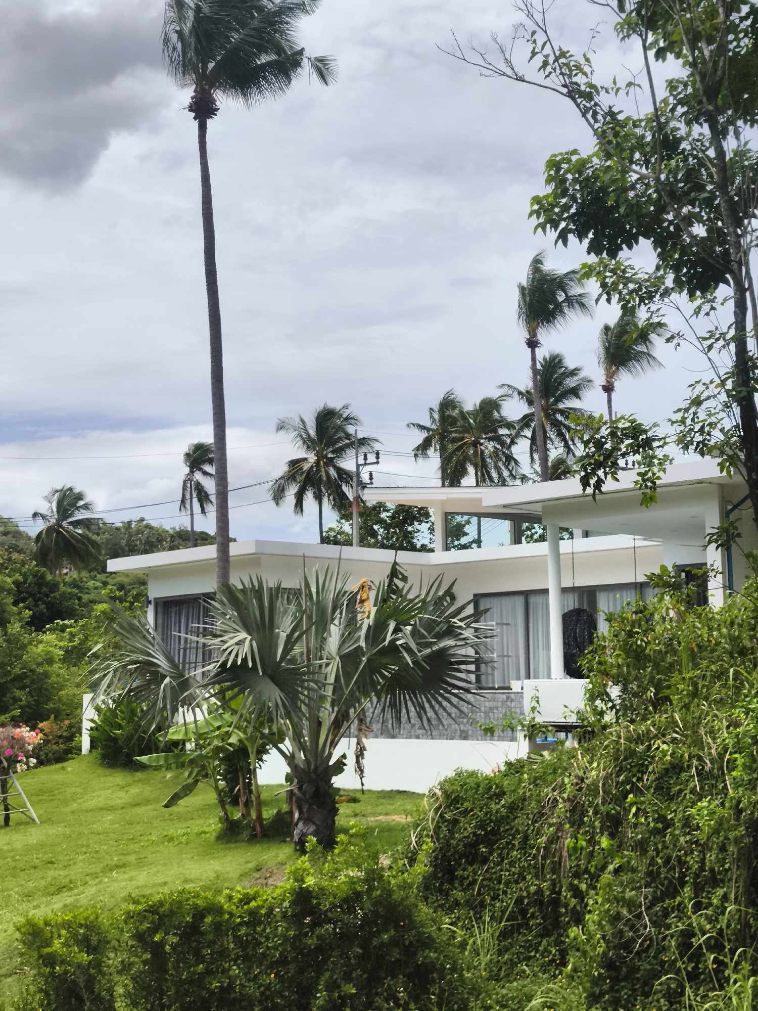 A modern white villa with large windows and a flat roof is situated in a lush green tropical environment on the island of Ko Samui, Thailand. Tall, slender palm trees with their fronds blowing in the wind are scattered around the property. The foreground features a well-maintained lawn bordered by dense green foliage, including bushy shrubs and leafy trees. In the background, more tropical vegetation covers rolling hills under a cloudy sky. The overall scene conveys a sense of a tropical retreat or residence.