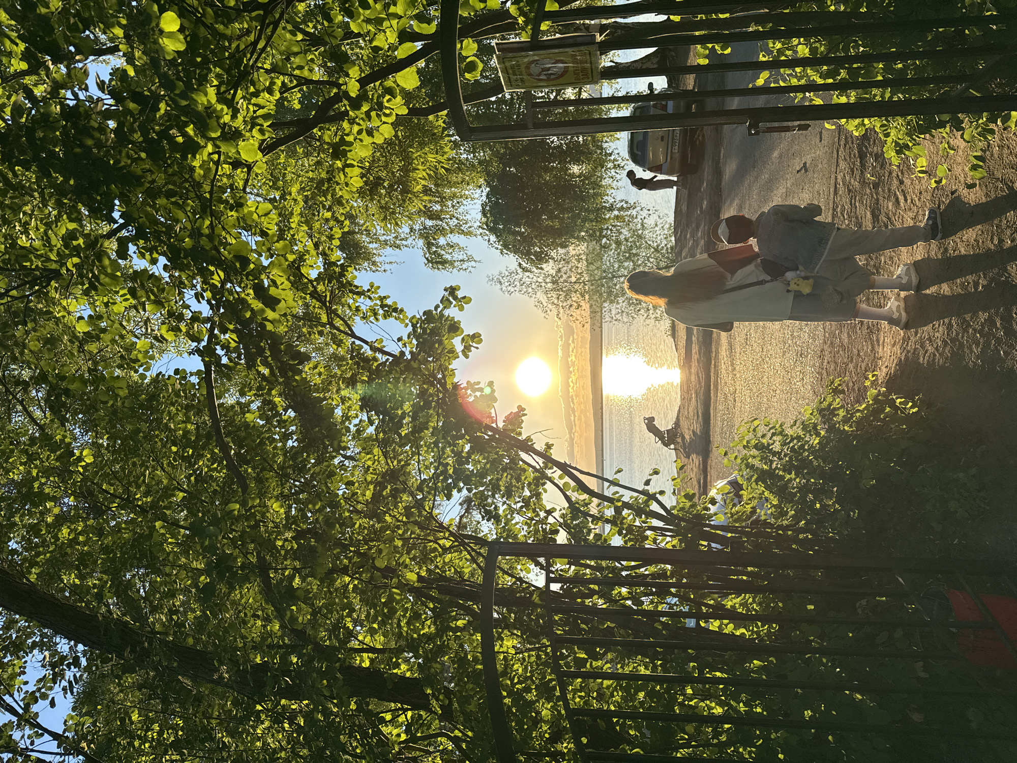 The image depicts a serene sunset scene along a waterfront path in Chaikovsky, Russia. The low sun, a bright golden orb, casts a radiant glow over a large body of water, creating striking reflections and strong lens flares. The time of day is clearly late afternoon or early evening, characterized by warm, golden light and long shadows.
In the foreground, lush green tree foliage frames the top and left side of the image, with sunlight filtering through the leaves. A dark metal fence or gate runs horizontally across the lower part of the frame, partially obscured by greenery. Attached to this fence is a yellow sign with Cyrillic text; decipherable phrases include "ВЫГУЛ СОБАК ЗАПРЕЩЕН" (Dog walking forbidden) and "ВЫБРОС МУСОРА" (Garbage disposal), indicating rules for the area.
Two main figures, a woman and a child, are seen standing on a sandy or unpaved path by the water, their backs partially to the viewer, observing the sunset. The woman has light hair and wears a light-colored top and skirt, with a yellow plush toy (resembling Pikachu) hanging from her bag. The child, likely a boy, is dressed in a denim jacket, light pants, and a cap. Their posture suggests they are enjoying the peaceful view.
In the background, along the water's edge, several other indistinct figures are visible as silhouettes. A light-colored car is parked nearby, displaying a Russian license plate with the characters "T 993 PУ". The weather appears clear, with blue sky visible through the tree canopy. The overall mood is calm and reflective, capturing an evening leisure activity by the water.