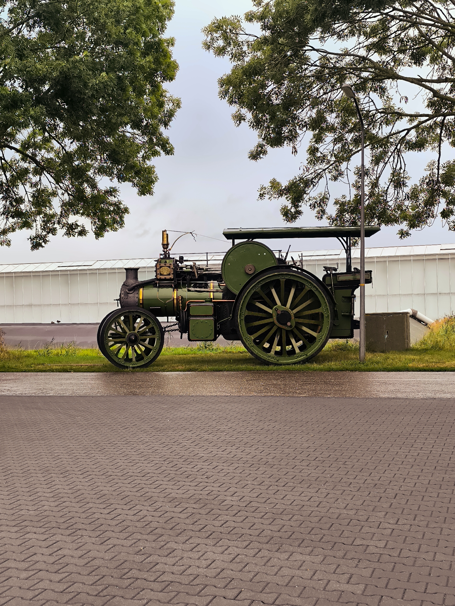A green steam tractor is parked on a patch of grass next to a paved walkway. The tractor has large spoked wheels and a tall smokestack emitting a small plume of smoke. In the background, a long, white, modern building with a glass facade stretches across the frame. Two large trees with dense green foliage frame the scene, casting shadows on the ground. The walkway in the foreground is paved with interlocking bricks, and a portion of it is wet, reflecting the overcast sky. The area appears to be an outdoor exhibition space or a roadside attraction.