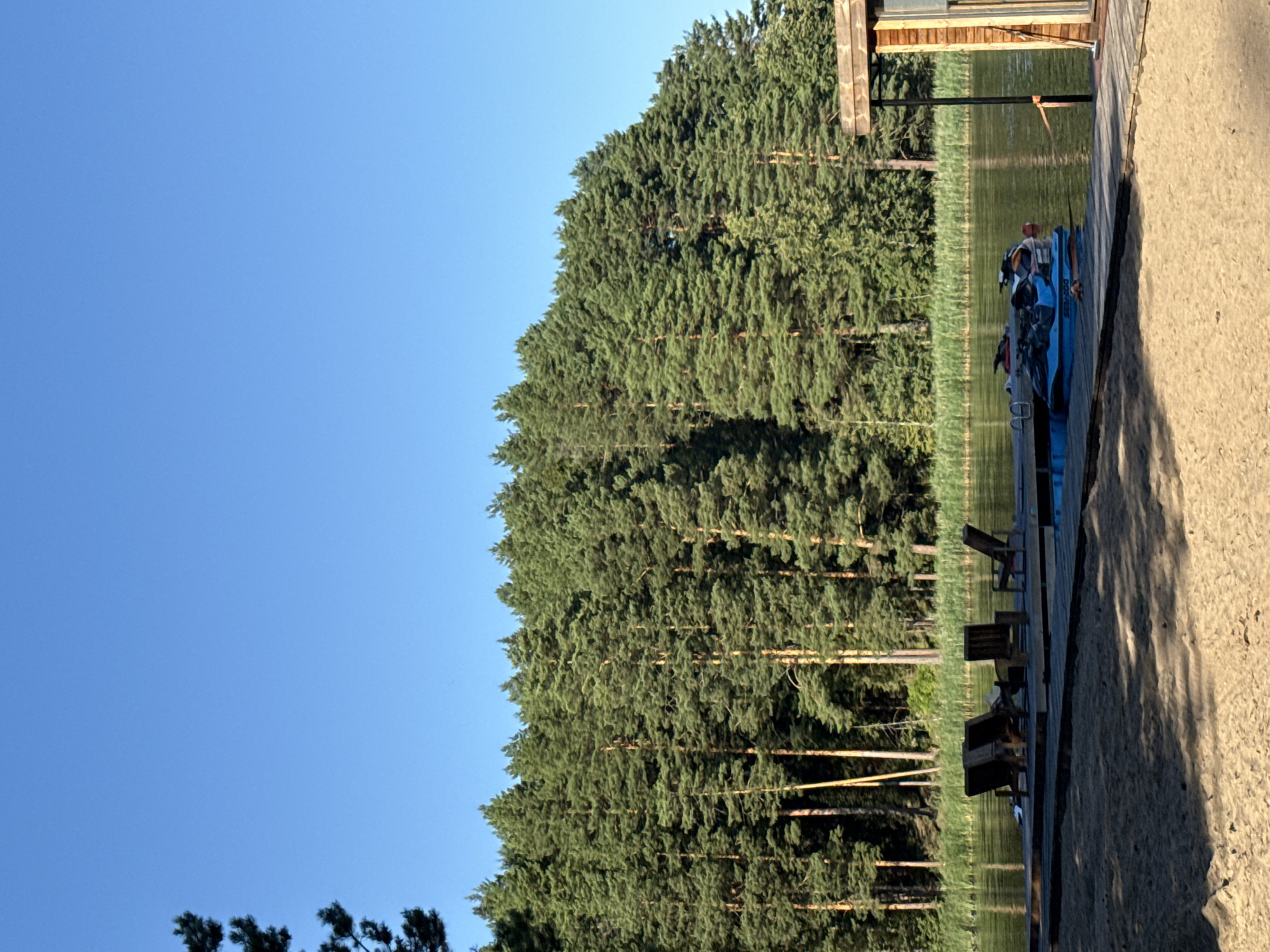A bright, clear blue sky is visible above a dense line of tall, green pine trees that form the background of the image. In the foreground, a wooden dock extends into a calm, reflective body of water. Several empty wooden chairs are arranged on the dock. Two jet skis are docked on the water next to the pier, one blue and one with a black and white design. To the right of the dock, a small wooden structure with a peaked roof is partially visible. The sandy shore is in the lower part of the frame, with dappled sunlight and shadows creating a textured surface. This scene is located on the shore of Lake Votkinsk in the city of Votkinsk, Russia.