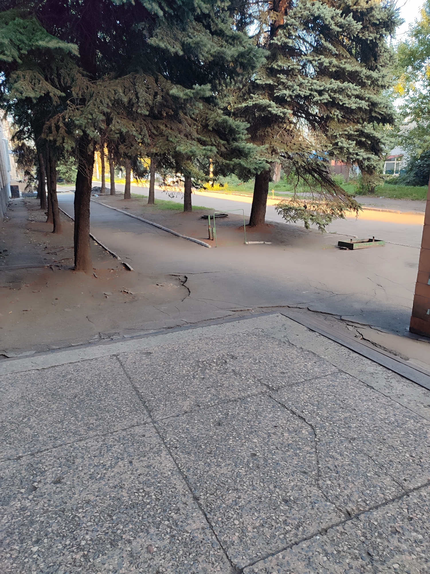 The image shows an outdoor scene with a row of trees lining a cracked asphalt pathway. The pathway appears to be in front of a building, with a concrete walkway in the foreground. There is a metal bin on the pathway. The trees are evergreen and appear to be mature. The lighting suggests it is either early morning or late afternoon. There are no people visible in the image.