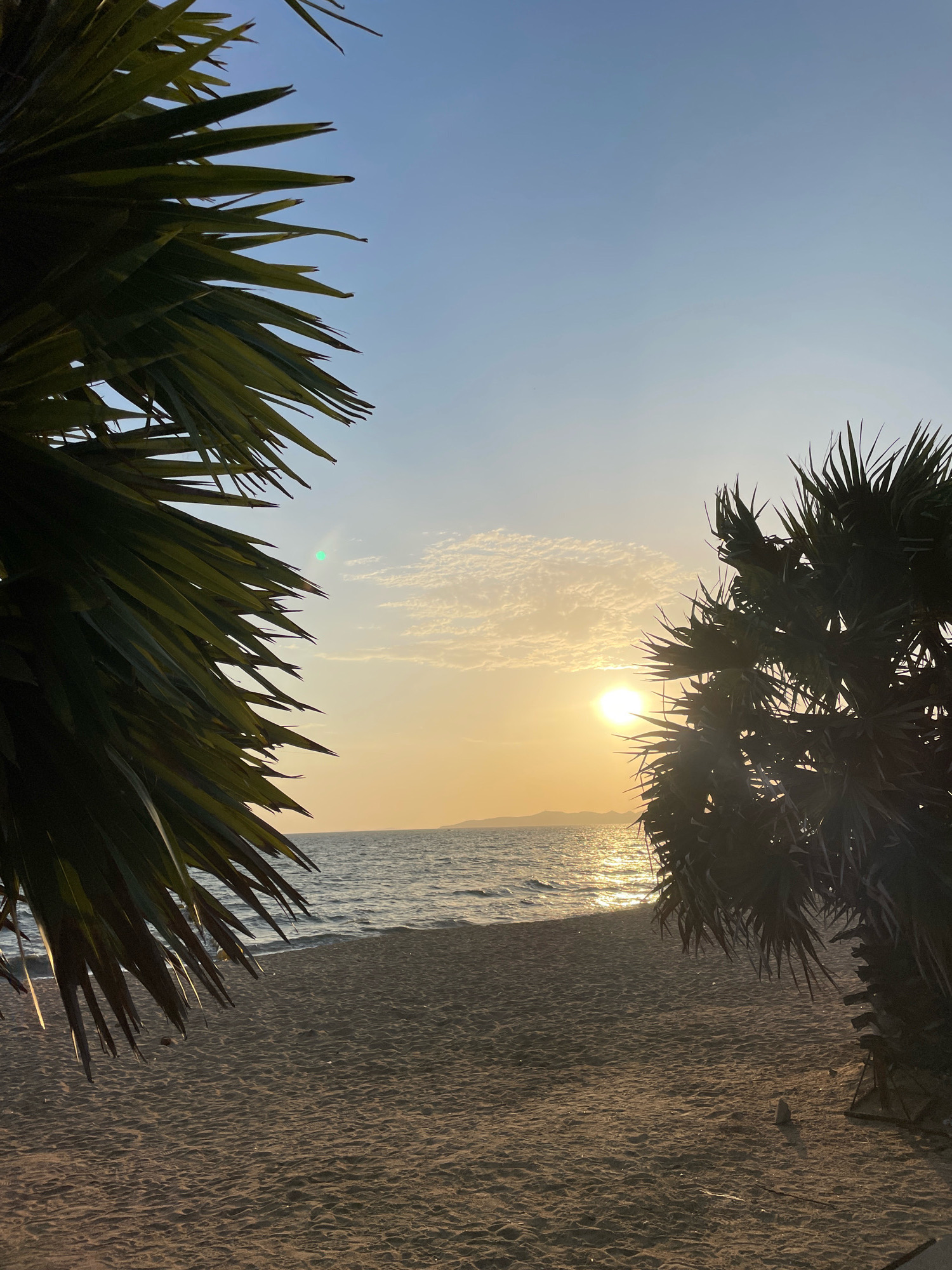 The image depicts a serene beach scene at sunset in Pattaya City, Thailand. In the foreground, on the left, a large palm frond extends into the frame, its dark green leaves silhouetted against the pale blue sky. To the right, another palm tree, also silhouetted, frames the sunset. The sun is partially obscured by the fronds, casting a warm, golden glow across the sky and the tranquil ocean. The sun's reflection shimmers on the water's surface, creating a path of light. The beach itself is covered in fine, light-brown sand, marked with subtle ripples and a few small objects, possibly debris or stones. In the distance, a faint outline of land or hills can be seen on the horizon. The sky transitions from a light blue at the top to a soft orange and yellow hue near the horizon, with scattered wispy clouds catching the last rays of sunlight. The overall atmosphere is peaceful and idyllic, characteristic of a tropical sunset.