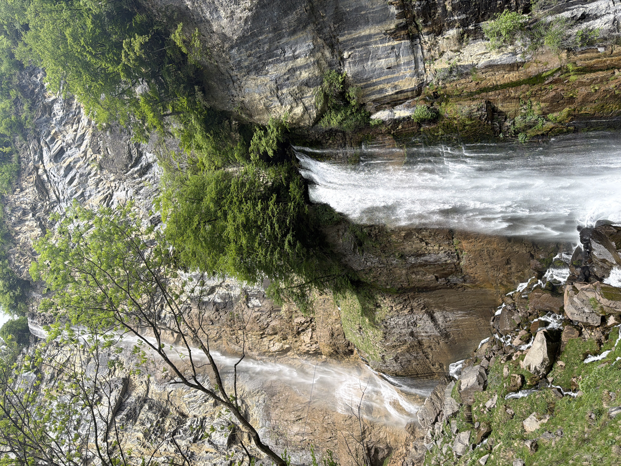 The image showcases a waterfall in Betlis, Switzerland. The water cascades down a steep rock face, with distinct layers of stone visible in the cliff. Patches of green vegetation cling to the rock at various points, adding contrast to the gray and brown hues of the stone. In the foreground, a bare tree branch stretches across the bottom left corner of the frame. At the base of the waterfall, the water collects among large, mossy rocks.