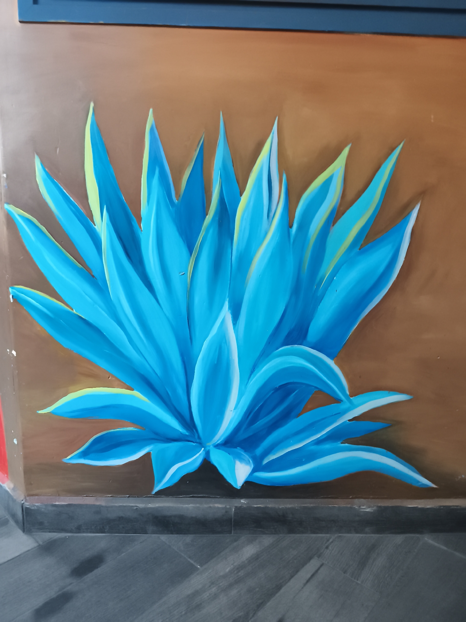 The image displays a close-up, eye-level view of a stylized mural depicting an agave plant painted on a wall within an interior setting. The plant occupies the central and lower portions of the frame, featuring numerous elongated, pointed leaves rendered in varying shades of bright blue, with prominent light green, yellow, and white highlights defining their edges and contours. The agave is depicted against a plain, warm brown wall.
Above the brown wall, a narrow, dark blue or dark brown horizontal band is visible at the very top of the frame. To the far left, a vertical strip of red is present, indicating a corner or adjacent surface. Below the painted wall, a dark gray or black skirting board runs horizontally. The floor, visible in the lower quarter of the image, consists of dark gray planks arranged diagonally, exhibiting a wood-grain texture and minor surface imperfections. No individuals, discernible actions, or interactions are present in the scene. The specific location within the city of Varna, Bulgaria, cannot be determined from the visual information provided.