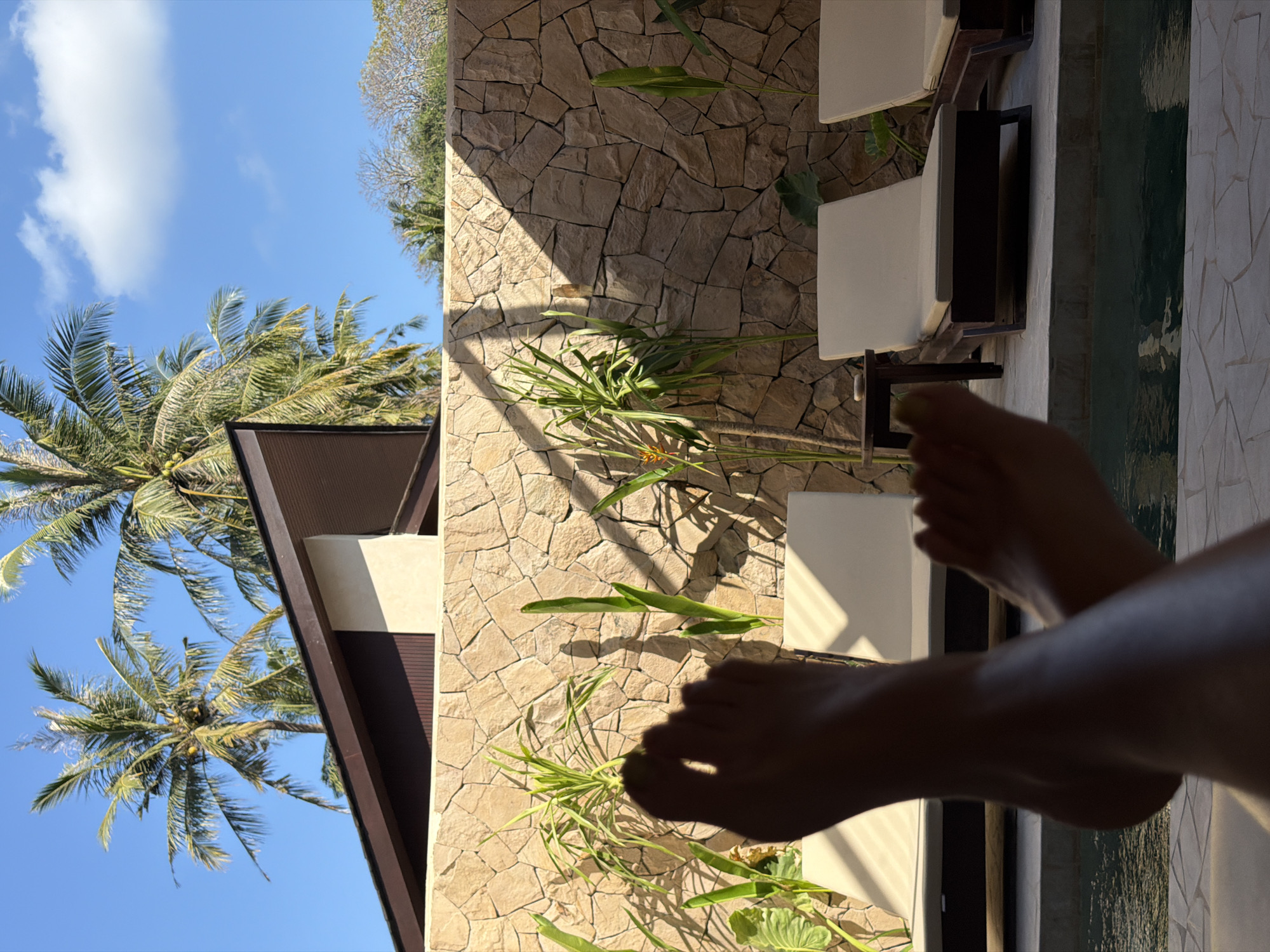 In Kuta, Indonesia, a close-up shot features a person's silhouetted feet crossed in the foreground, obscuring the view of a poolside lounge area. Behind the feet, a textured stone wall serves as a backdrop, adorned with various green plants that cast distinct shadows due to strong sunlight. Two light-colored lounge chairs with dark wooden frames are positioned on a raised platform beside a swimming pool. A small, dark wooden side table with an object on top sits between the lounge chairs. Above the wall, the roof of a modern building with a brown and cream facade is visible, as are several tall palm trees with coconuts. The sky is a bright blue with scattered white clouds.