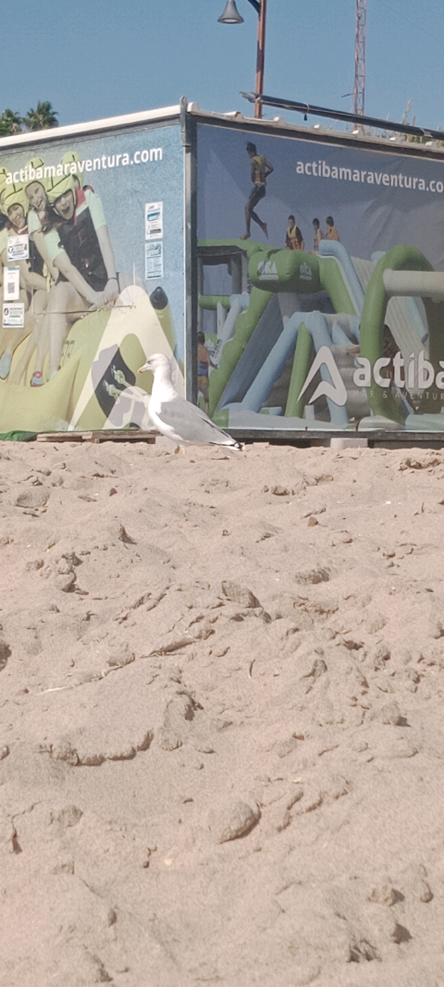 The image shows a beach scene with a large inflatable water park in the background. The water park features slides and climbing structures, with several people in life jackets visible on it. To the left of the water park, there is a large advertisement featuring smiling people wearing life jackets and helmets. A seagull is standing on the sand in the foreground, facing to the left. The beach is covered in light brown sand, with some footprints and debris visible. The sky is clear and blue, with a lamppost and a tower in the distance. The scene is located on the beach in Costa Oeste, Spain.