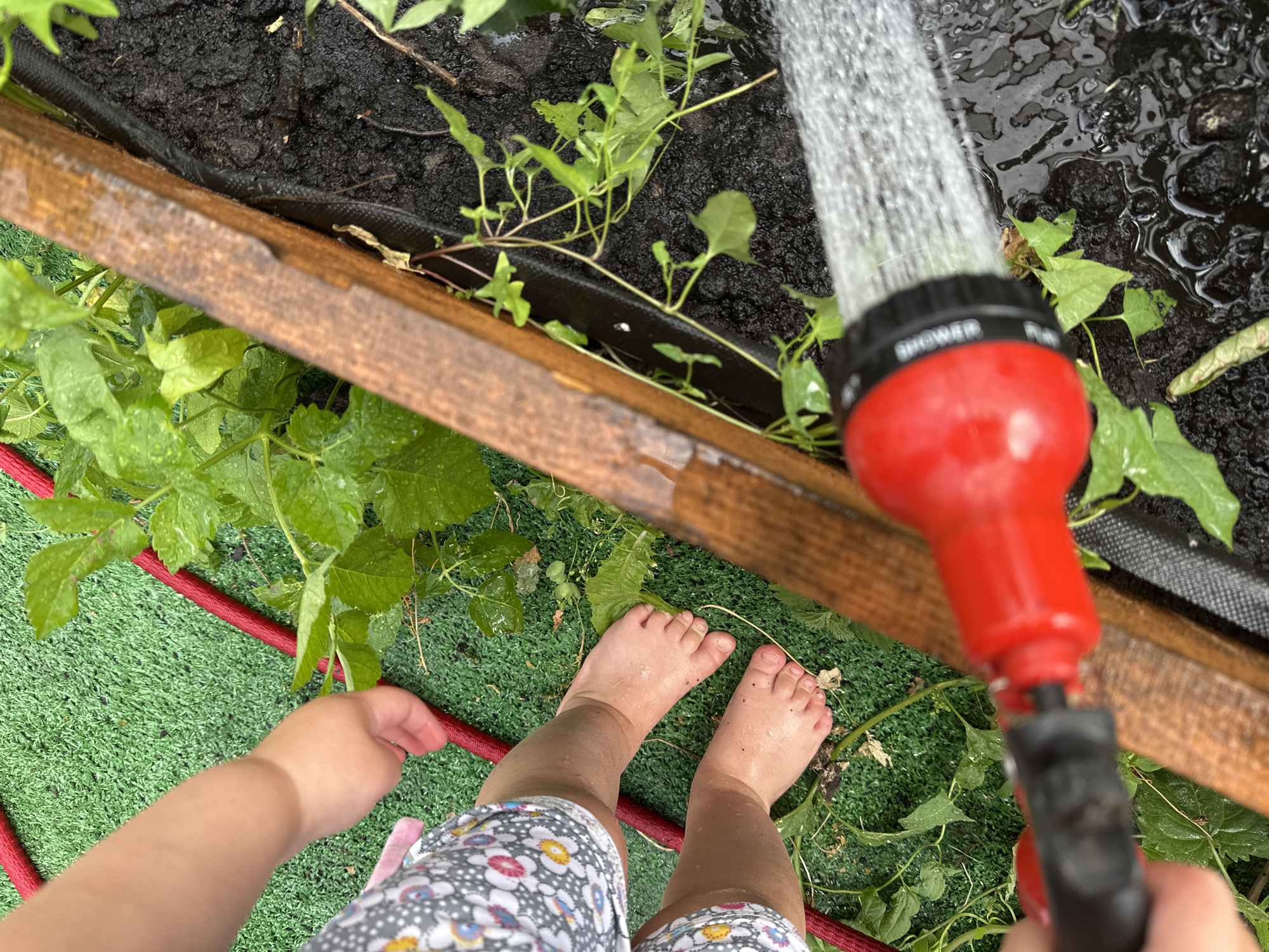 A close-up, high-angle shot shows a young child's bare feet and legs standing on green artificial turf next to a raised garden bed. The child is wearing a grey and white floral dress. A red garden hose snakes across the turf. In the raised bed, dark soil is visible, along with green plants, some of which are wet. A red and black garden hose nozzle is being held by an unseen person, spraying water onto the soil and plants. The image appears to have been taken outdoors, possibly in a backyard or garden area. There is no discernible information in the image that would allow for its location to be identified as Nizhny Novgorod, Russia.