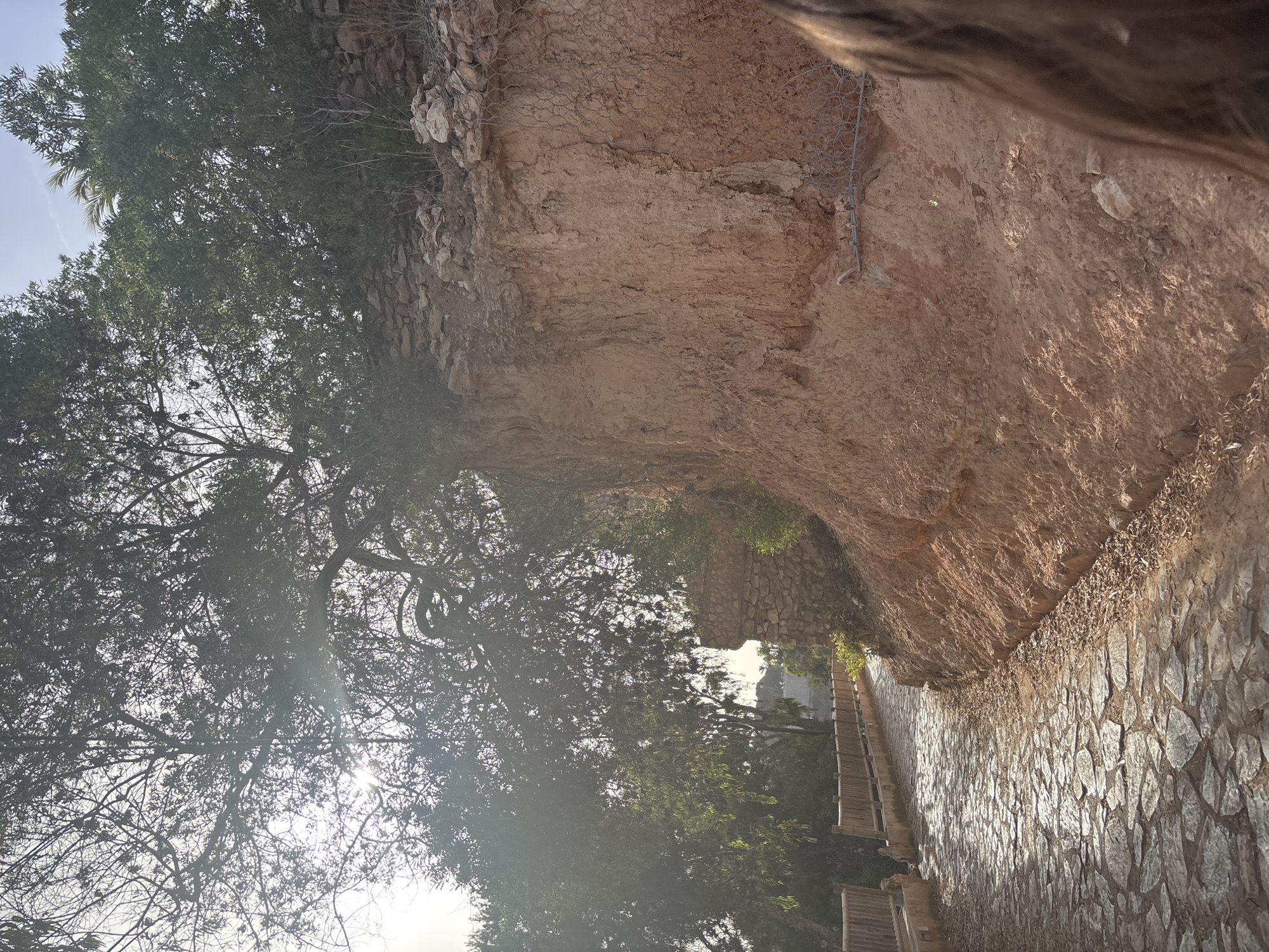 The image depicts a scenic outdoor path with lush greenery and a rocky cliff face. A person's hair is visible in the upper right corner, suggesting they are holding the camera. The path is paved with stones, and a wooden walkway or stairs is visible to the left, winding upwards. Tall trees with dense foliage dominate the left side of the image, with sunlight filtering through their branches, indicating it is likely daytime, possibly late afternoon or early morning given the angle of the light and shadows. The cliff face is a warm, earthy brown and appears to be reinforced with mesh in some areas, possibly for erosion control. Small plants and dry leaves are scattered along the base of the cliff and the edge of the path. The overall atmosphere is peaceful and natural, suggesting a hiking trail or a path in a hilly or mountainous region. There is no visible text in the image.