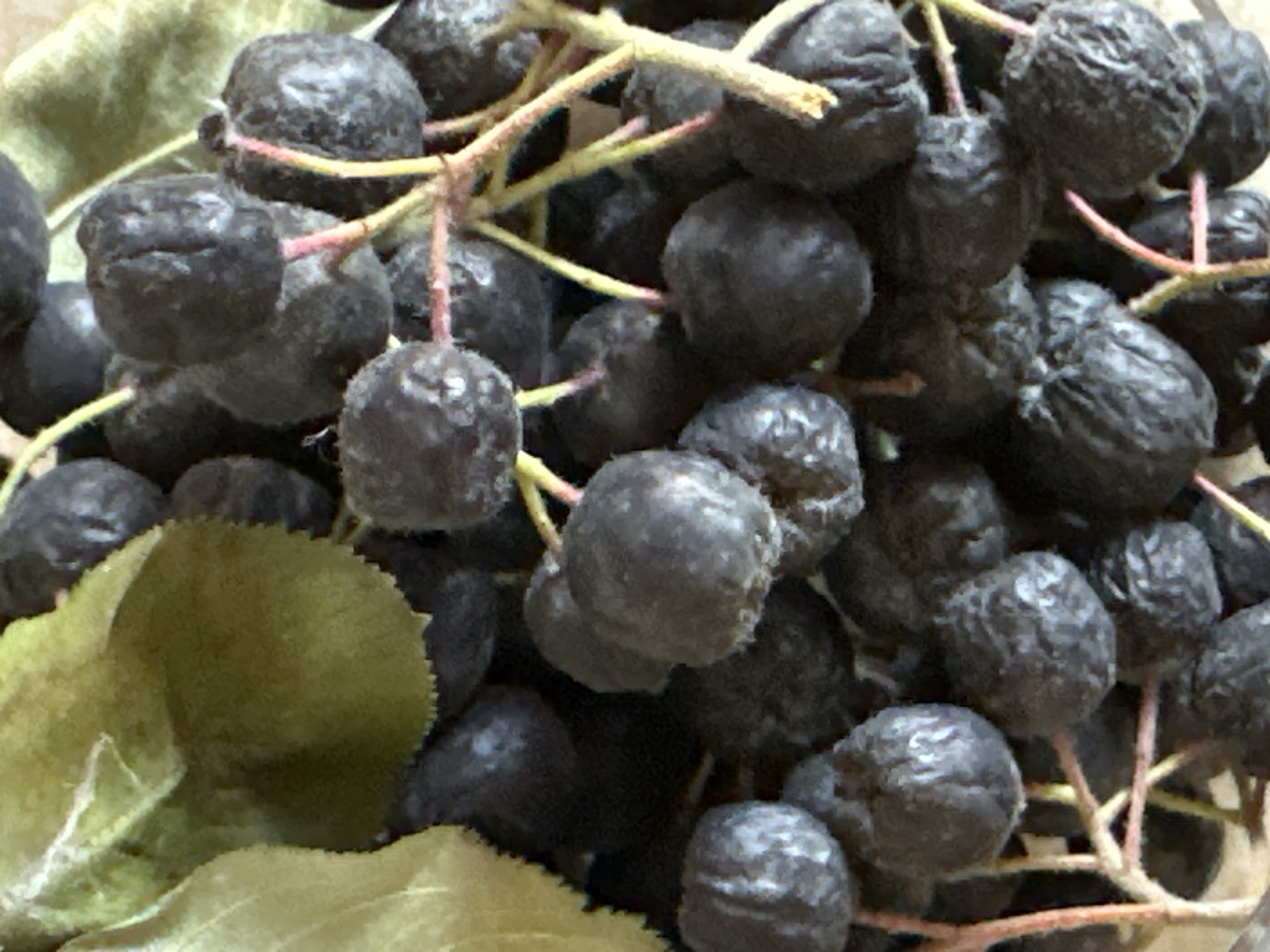 The image shows a close-up of a cluster of dark, round berries, possibly chokeberries, with a few green leaves. The berries are on thin stems and are tightly packed together. The background is blurred, with some of the berries and leaves appearing out of focus. The lighting is natural and appears to be from above, casting subtle shadows on the berries. There are no people or any discernible urban environment. The image is a still life of fruit and leaves.