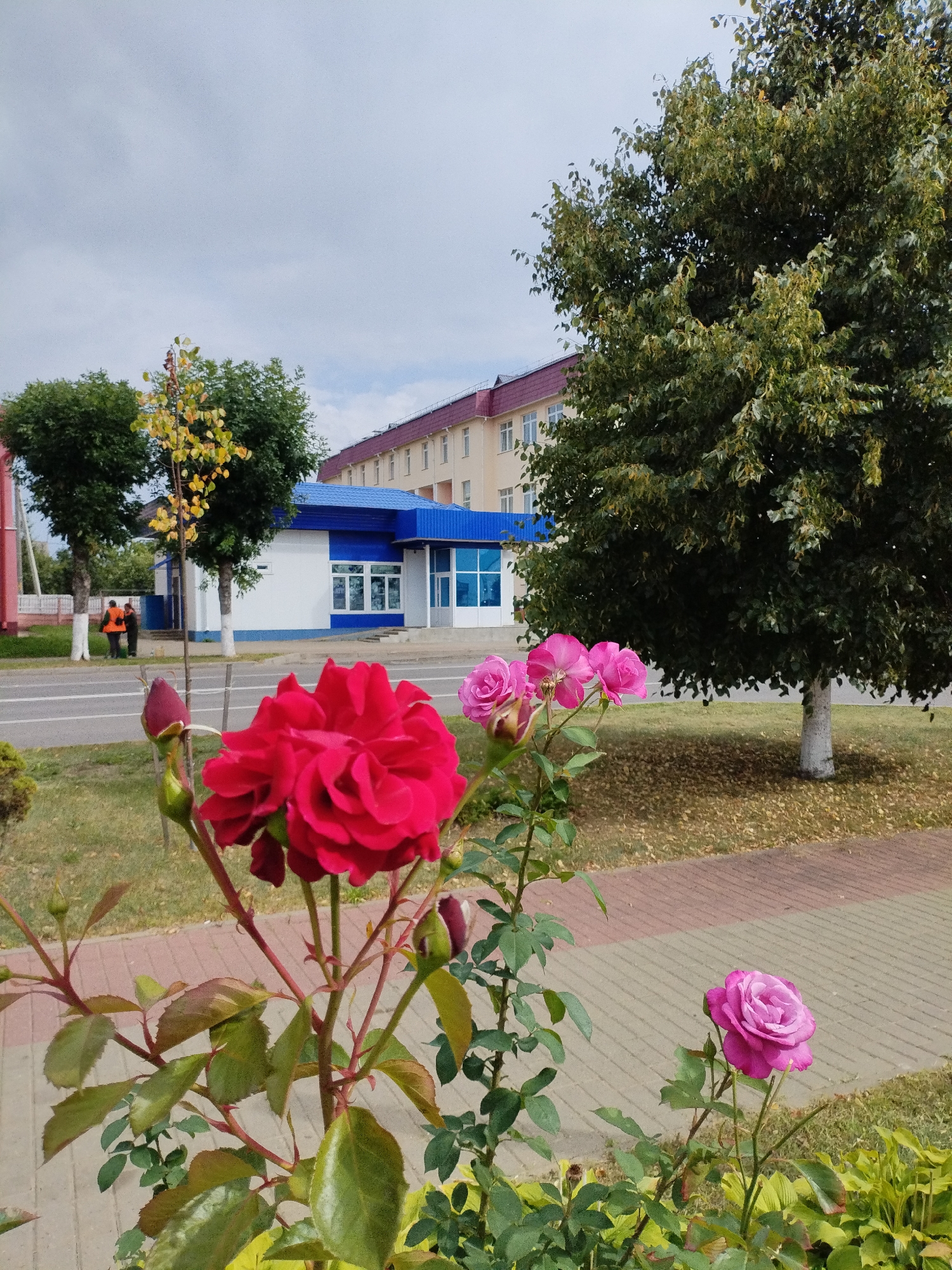 The image captures a street scene in Bialynichy, Belarus, focusing on a foreground of vibrant red and pink roses in bloom. Behind the flowers, a paved walkway with a reddish-brown and gray pattern runs parallel to a street. Beyond the walkway, a grassy area is dotted with fallen leaves, indicating an autumn season. In the mid-ground, a modern building complex with a white lower section and a blue roof is visible, featuring several windows. To the left of this building, two individuals wearing orange vests are standing near a parked vehicle. Further in the background, a multi-story building with a reddish roof and numerous windows stands under a cloudy sky. Several trees with green and yellowing foliage are also present in the scene.