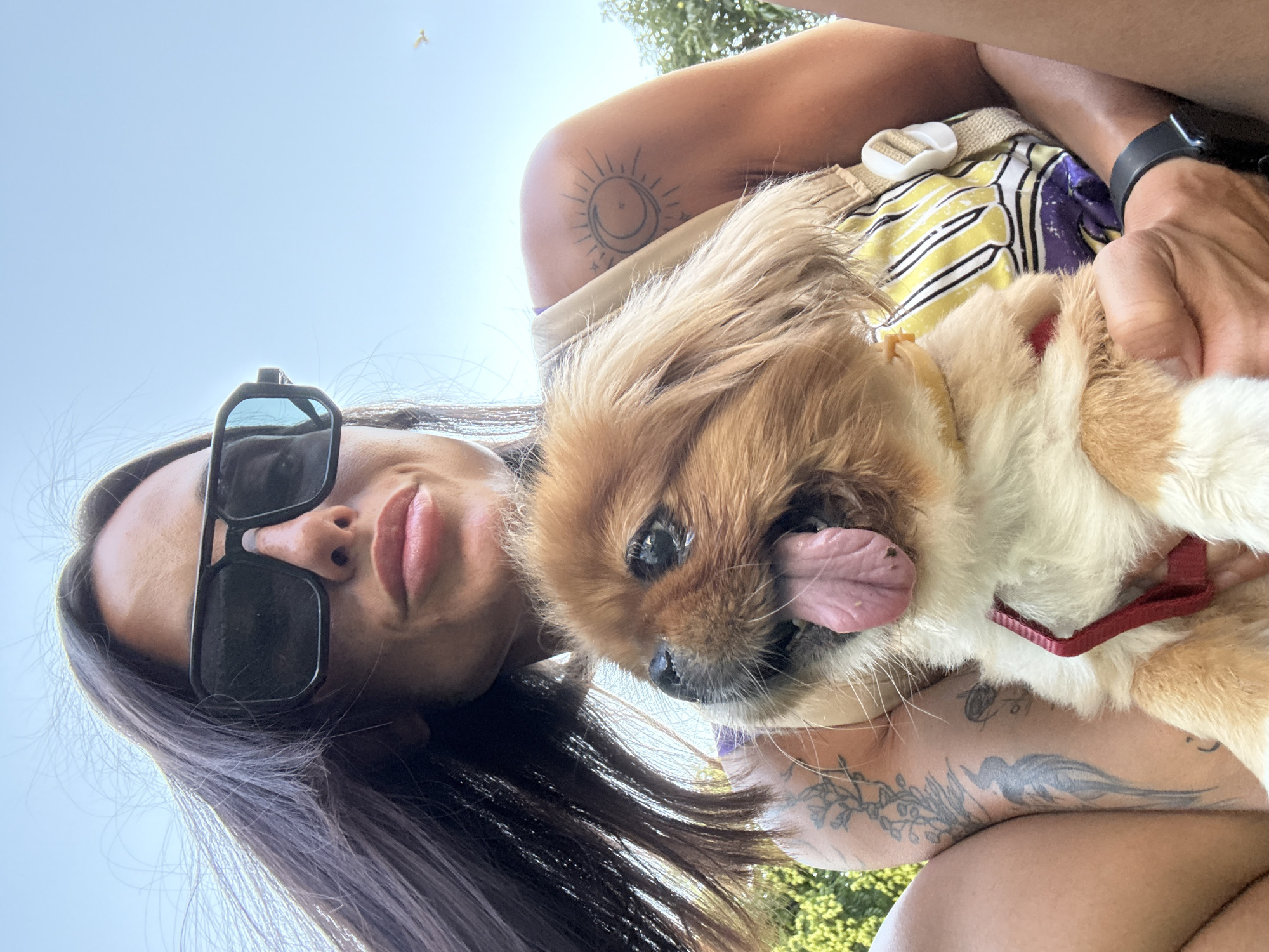 A woman with long dark hair and large black sunglasses is holding a small, light brown and white dog. The dog has its tongue hanging out and is looking at the camera. The woman is wearing a light-colored top with a patterned strap. Tattoos are visible on her arms and shoulder. The background is a clear blue sky with some green foliage visible on the right. The scene appears to be outdoors, possibly in a park or garden.