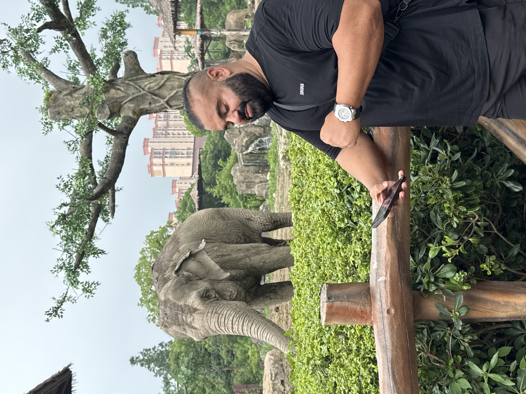 An Indian man with a shaved head, beard, and dark skin is standing in front of a zoo enclosure in Pudong, China. He is wearing a black t-shirt and black shorts, and a silver wristwatch. He is looking down at his phone, which he is holding in his left hand. To his left, an elephant is standing in the enclosure, facing towards the man. The enclosure features a wooden fence, lush green bushes, and a faux tree structure in the background. Behind the enclosure, residential buildings and a waterfall are visible. The sky is overcast.