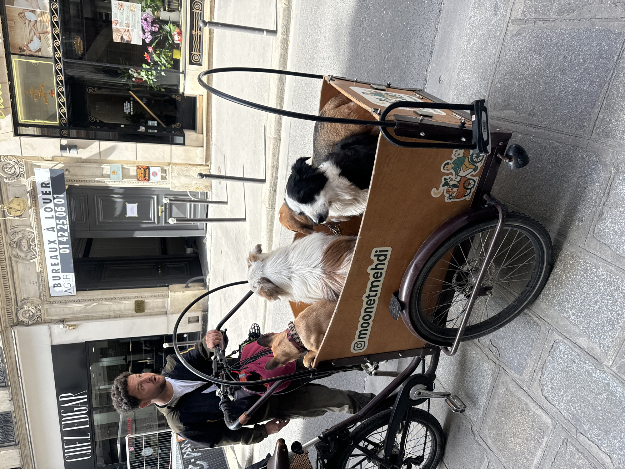 A man is depicted walking alongside a wooden cargo bicycle on a sunny city street, transporting several dogs. The man, with dark curly hair and a beard, is wearing a dark jacket over a white t-shirt and dark pants, holding the handlebars of the cargo bike. He appears calm and focused on guiding the bicycle.
Inside the large, light brown wooden cargo box are at least four dogs. A black and white dog rests towards the front, a fluffy brown and white dog sits near the middle, and a tan, short-nosed dog (possibly a French Bulldog) wearing a red collar or harness is closest to the rider. Another brown dog is partially visible behind the black and white one. The dogs appear relaxed and observant.
The cargo box is decorated with cartoon stickers and a white sticker bearing "@moonetmehdi". An ABUS brand U-lock is attached to the front of the box. The scene takes place on a paved street with gray cobblestones, flanked by buildings exhibiting classical Parisian architecture. The bright daylight suggests a clear and pleasant day.
Visible text elements include "CHEZ EDGAR" on a shop sign, "BUREAUX À LOUER" (Offices for Rent) with the phone number "01 42 25 06 01", along with "AGIR" and "GARPARIS" on signs. The image captures a unique and endearing method of dog transport in an urban setting in Paris, France.