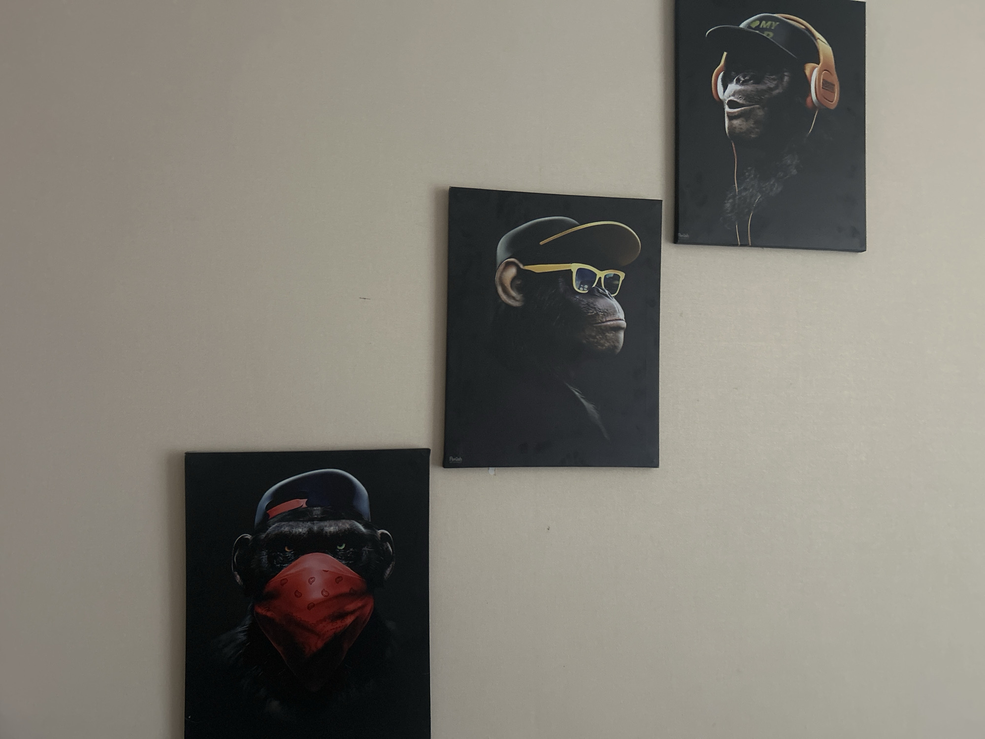 This media file displays three framed canvas prints of chimpanzees, arranged diagonally on a light-colored wall, likely an interior setting. The chimpanzees are depicted in a stylized, anthropomorphic manner, suggesting a contemporary art piece.
The bottom-left print features a chimpanzee wearing a red bandana over its face and a dark baseball cap. Its eyes are visible and appear green.
The middle print shows a chimpanzee in profile, wearing a dark baseball cap and yellow sunglasses. The background is black.
The top-right print depicts a chimpanzee wearing headphones and a baseball cap with the text "MY" visible on it.
The prints are arranged with the bottom-left being the lowest and closest to the viewer's perspective, followed by the middle one above and to the right, and the top-right one being the highest and furthest to the right. The overall aesthetic is modern and somewhat playful due to the depiction of the animals in human accessories. No specific time of day or weather conditions are discernible. The location context provided is Krasnogorsk, Russia, but there are no visual cues within the image to confirm this.