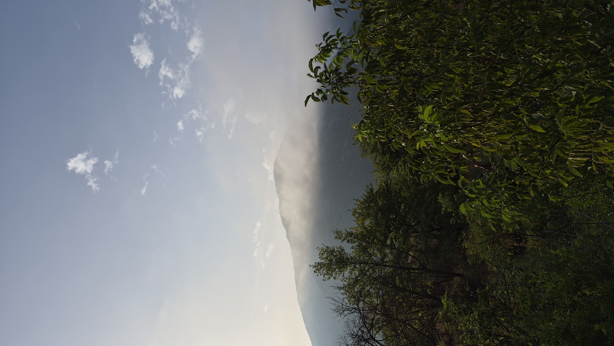 The image depicts a landscape scene dominated by a mountain partially shrouded in mist. The foreground is filled with lush green trees and foliage, some bare branches are also visible on the left side. The sky above is a pale blue with scattered white clouds, particularly on the right side. The lighting suggests it might be early morning or late afternoon. There are no people or man-made structures visible in the frame. The location is identified as Unknown, Unknown.