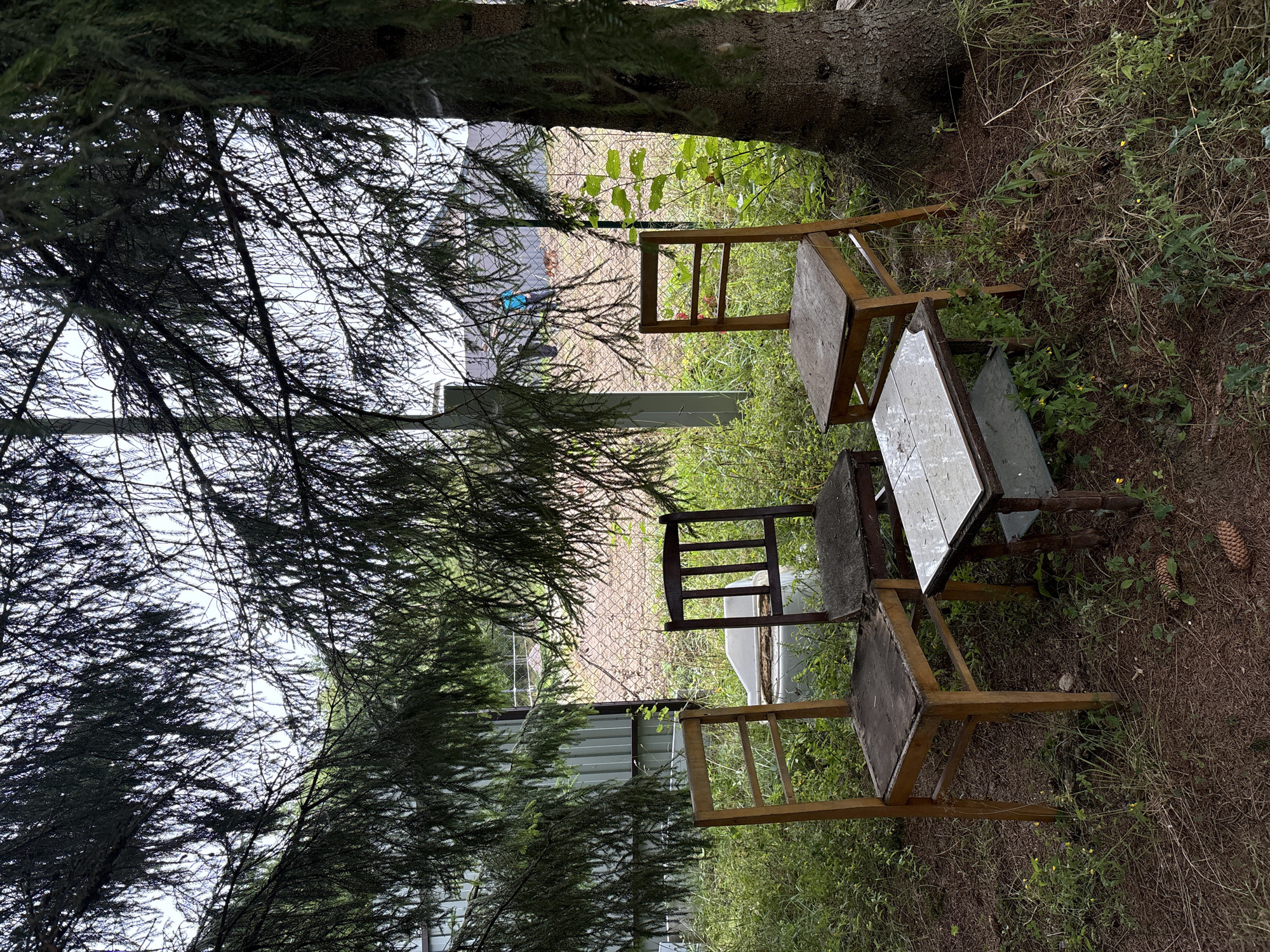 The image depicts a rustic outdoor seating arrangement beneath the canopy of a large evergreen tree, likely in Lyady, Russia. Four chairs, appearing to be made of wood and showing signs of wear, surround a small, low table. The table has a light-colored, possibly tiled, top and a dark, metal-framed lower shelf. The ground is covered with pine needles, dry leaves, and sparse green vegetation. In the background, a chain-link fence encloses a yard with a dirt surface. Beyond the fence, structures resembling a house and shed are visible, along with some scattered objects. The overall atmosphere is one of neglect and disuse.