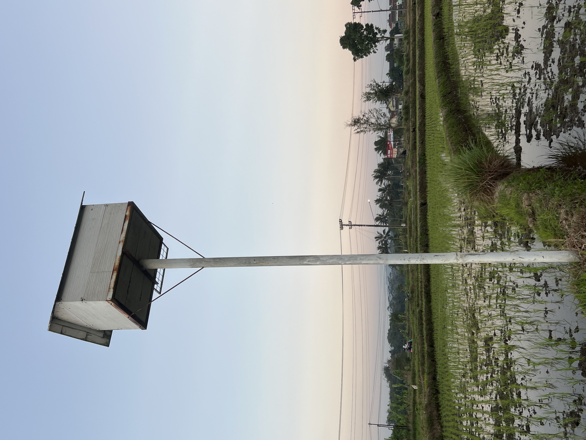 In the city of Kalijoso, Indonesia, a wooden birdhouse sits atop a tall, white pole in a rural landscape. The birdhouse has a white, weathered exterior and a slightly rusted metal roof. It is supported by metal braces. The pole stands in the foreground, adjacent to a rice paddy. The rice paddy, filled with water and young rice plants, extends into the middle ground. In the background, a line of trees and some buildings are visible. Power lines and utility poles crisscross the sky. The sky is a gradient of soft blues and oranges, indicating either sunrise or sunset. The overall scene is tranquil and agricultural.