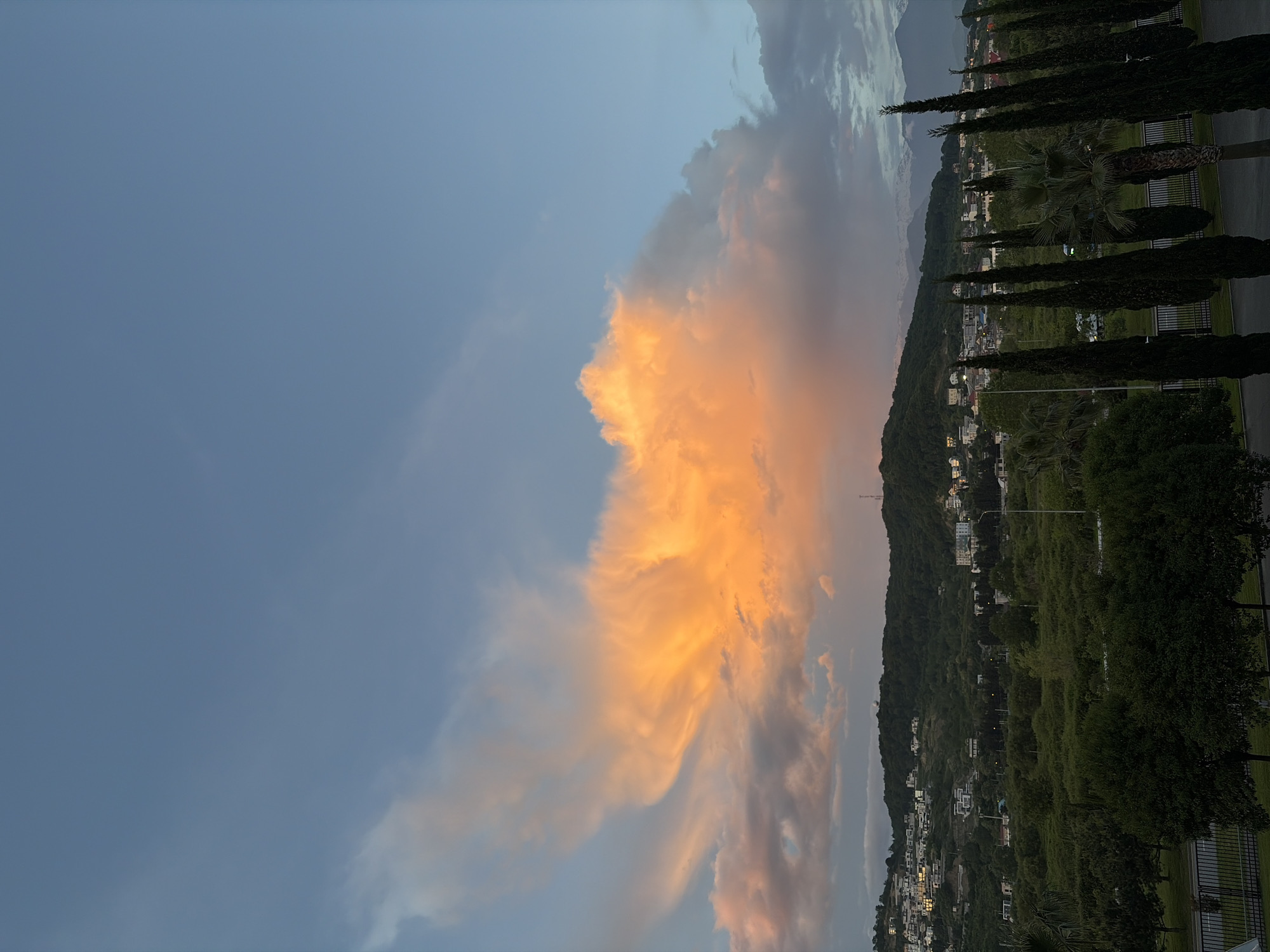 The image captures a landscape scene, with a vivid sunset featuring orange and pink clouds dominating the sky over Sochi, Russia. The backdrop includes a mountain ridge covered in greenery and dotted with buildings, indicating a populated area. In the foreground, tall, slender trees line a roadside, and a section of fencing is visible. The time of day appears to be late afternoon or early evening, given the sunset colors and overall lighting.