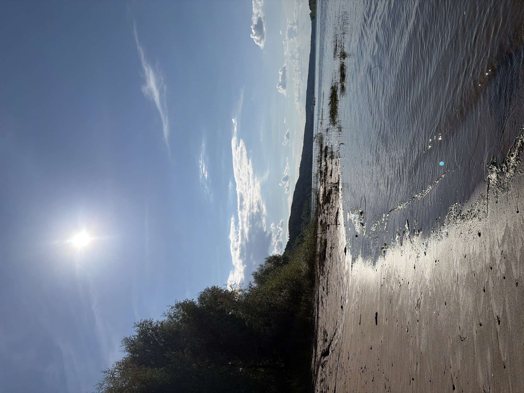 This is a wide-angle, eye-level, outdoor, daylight photograph of a sandy beach along a wide river. The sun is high in the sky, casting bright light and creating reflections on the water. Lush green trees line the shore to the left, with a gentle slope leading to a distant, forested hillside under a partly cloudy sky. The foreground is dominated by the sandy beach, with small pebbles and debris scattered across its surface. The calm river water laps at the shore, with a few aquatic plants visible near the bank. In the distance, on the river, a small boat with two occupants is visible. The overall scene depicts a serene natural landscape under a clear blue sky with scattered clouds. The location is the bank of the Volga River in the vicinity of the village of Olkhovka, Volgograd Oblast, Russia.