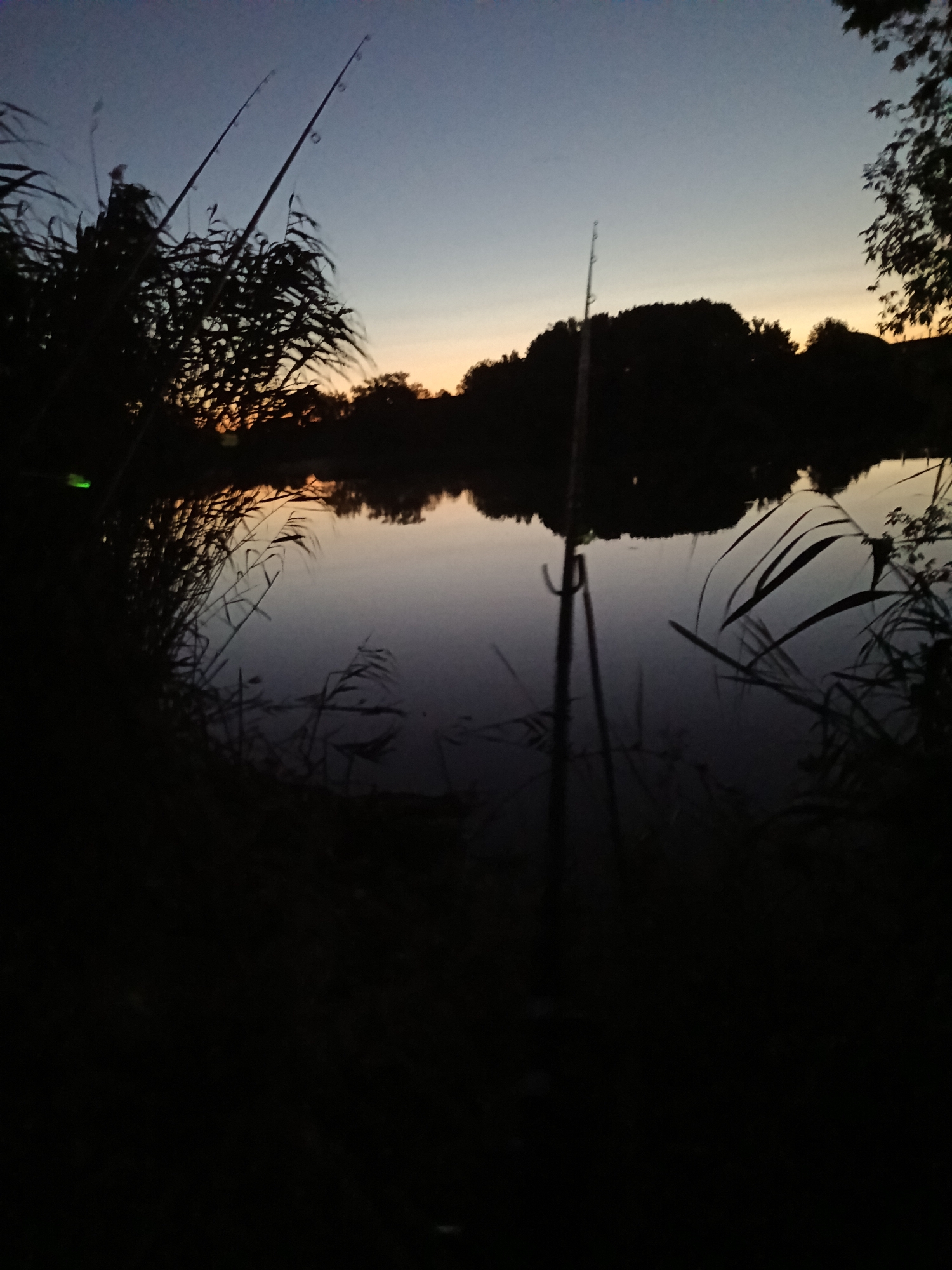 A wide-angle, low-light shot captures a serene twilight scene by the water, possibly during fishing. In the foreground, silhouetted reeds and other vegetation frame the left and right edges of the image, creating a natural border. The dark masses of these plants contrast with the soft glow of the fading light.
Two fishing rods are prominently positioned, angled upwards towards the sky, their thin lines barely visible against the deepening dusk. One rod, on the left, has a small, bright green object attached near its tip, possibly a fishing light or bite indicator.
The water in the mid-ground reflects the subdued colors of the sky, creating a glassy, mirror-like surface. The sky itself transitions from a pale, warm orange near the horizon, where the sun has likely set, to a deep, dusky blue overhead. A dark, silhouetted treeline or hillside forms a distant backdrop across the water, its shape softened by the dim light. The overall atmosphere is one of quiet anticipation and natural beauty as day transitions into night. The location is identified as Sanzharykha, Ukraine.