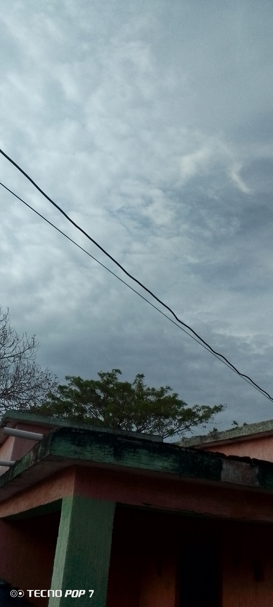 The image captures an overcast daytime scene in Altagracia, Venezuela, featuring a cloudy sky, electrical wires, and parts of buildings and trees. The upper two-thirds of the frame are dominated by a dense, grey-blue cloudy sky, indicating diffused light. Two dark, thin wires, likely electrical or communication lines, traverse horizontally across the upper-middle section, sloping slightly downward from the upper left to the mid-right.
In the lower third of the image, architectural structures and vegetation are visible. On the far left, a section of a bare-branched tree with intricate, dark branches is silhouetted against the sky. Below this, a building features a flat roof with a prominent coping that exhibits dark green and black discoloration, consistent with moss or weathering. The exterior wall directly beneath this coping is painted a faded peach or light orange hue. Two white horizontal pipes are attached to the upper left corner of this building. The lower right portion of the image shows a dark, shadowed area, likely an entrance or recessed section of the structure.
Towards the center-right, a tree with vibrant green foliage is visible above the roofline of the foreground building. On the far right, a portion of another building or wall, painted a similar peach color, is present, with a small, sparsely foliated plant or tree situated on its roof. No individuals or animals are visible in the scene. A white watermark displaying a camera icon and the text "TECNO POP 7" is located in the bottom left corner of the image.