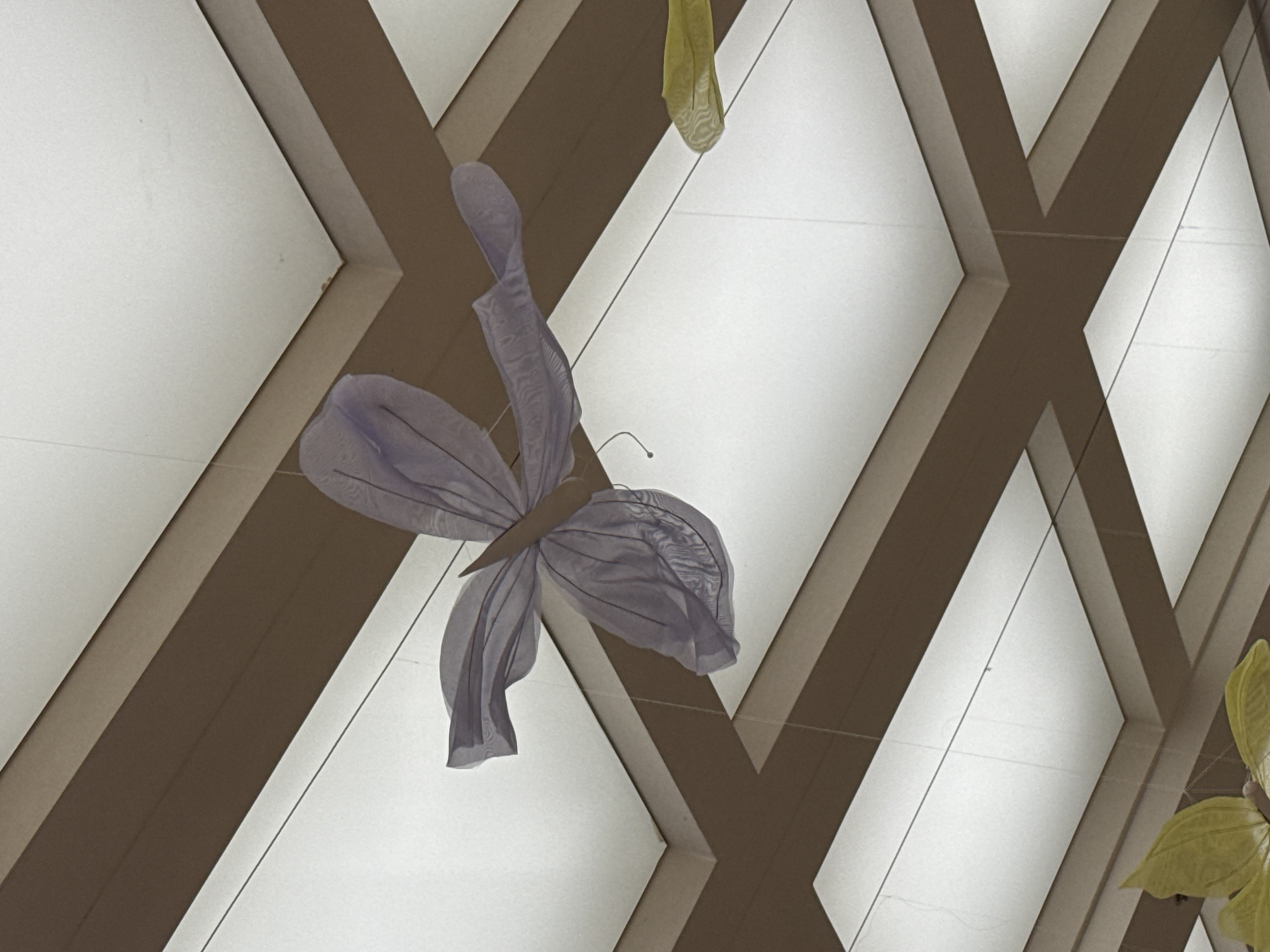 The image captures an indoor scene within a facility in Yerevan, Armenia, focusing on overhead decorations and ceiling architecture. A large, decorative butterfly, fabricated from sheer, light purple textile stretched over a frame, is centrally suspended by thin, nearly invisible monofilament lines. Its four wings are distinctly visible, and a small wire or filament protrudes from its lower body. Partially visible in the lower right quadrant is a portion of another decorative butterfly, this one in a yellow-green hue, also made of sheer fabric. The ceiling above features a precise geometric grid pattern. This grid consists of wide, flat, dark brown beams intersecting to form square and rectangular sections. These sections are inset with luminous white panels, which serve as direct light sources, creating a bright and evenly lit environment. The photographic perspective is directed upward, emphasizing the structural and decorative elements of the ceiling. No individuals or specific actions are depicted.
