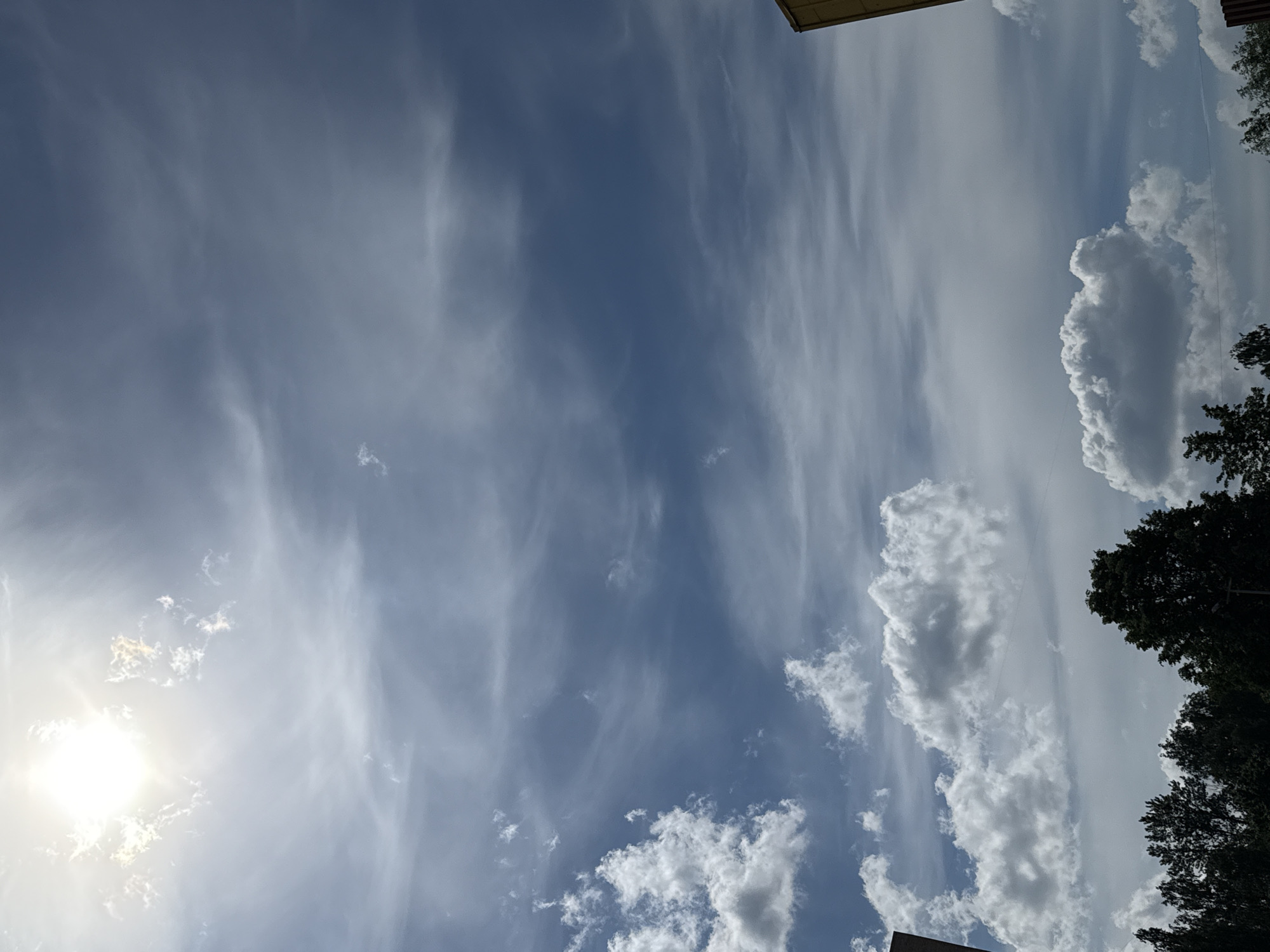 The image displays an outdoor daytime scene dominated by a dynamic sky over an urban or suburban environment. The sun, a brilliant luminous source, is situated in the upper-left quadrant, casting a strong glare and partially diffused by thin, high-altitude cirrus clouds. The sky exhibits a gradient of blue tones, ranging from a pale, almost white-blue near the sun to a deeper, more saturated blue and grey in areas with denser cloud cover.
Cloud formations vary significantly throughout the frame. Dense, fluffy white cumulus clouds are prominent in the lower-left and mid-bottom sections, indicating fair-weather conditions. The mid-to-upper sky features streaky, elongated cirrus and altostratus cloud formations, suggesting a mix of high and mid-level atmospheric moisture.
Along the bottom edge of the image, a dense line of dark green deciduous treetops is visible, mostly silhouetted against the brighter sky, indicating either backlit conditions or heavy shadowing. Architectural elements are present on both lateral peripheries: a dark, vertical, rectangular structure extends upwards from the bottom-left edge, and a yellow or tan-colored building is partially visible along the right edge, appearing at both the top-right corner and mid-right side of the frame. No human figures, animals, or specific activities are discernible within the captured scene. The environmental conditions are consistent with a bright, partly cloudy day in an urban landscape, such as that found in the city of Saint Petersburg, Russia.