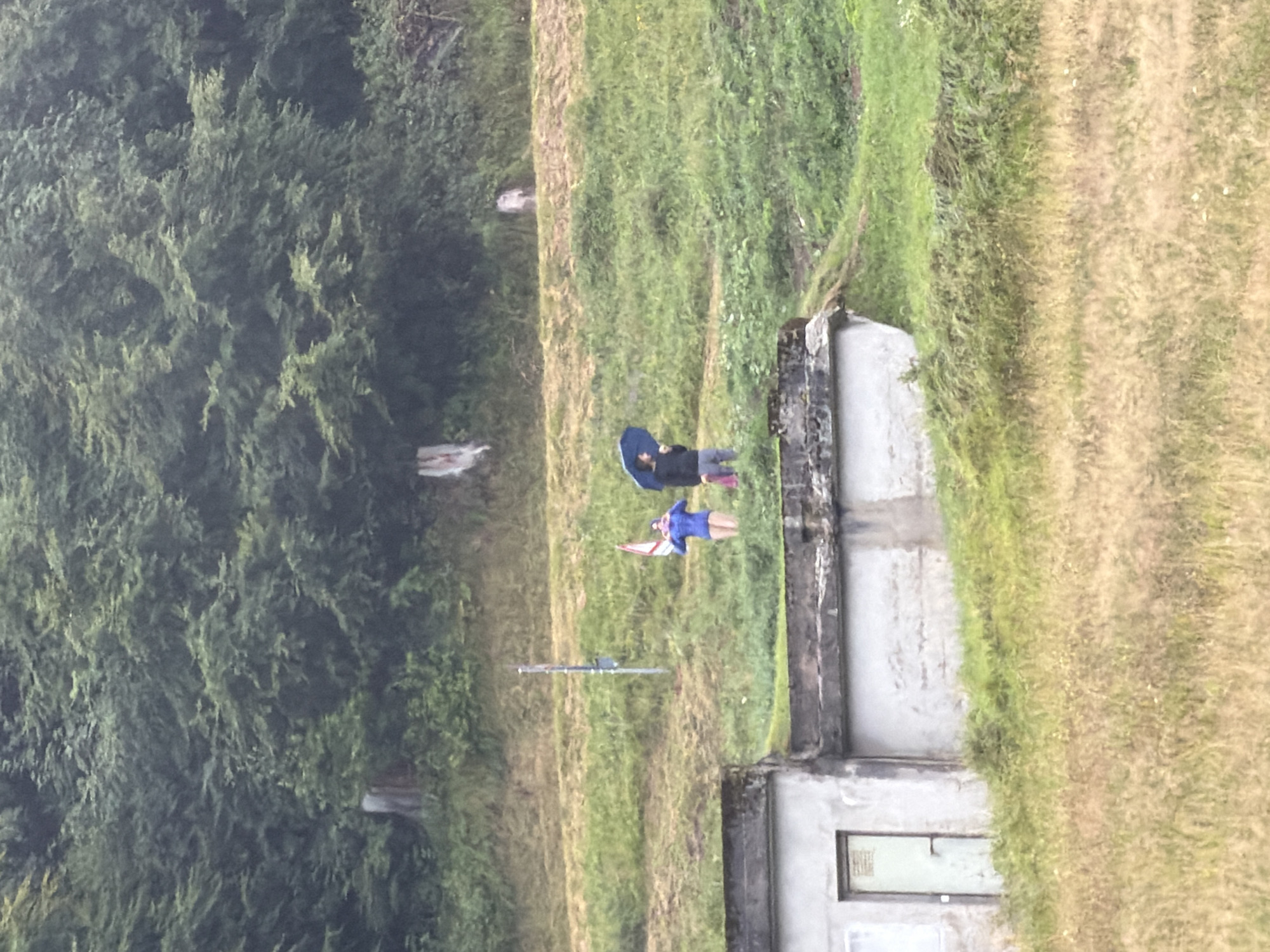 The image captures a scene in Sauris/Zahre, Italy, depicting a sloped, grassy hillside with a dense forest in the background. In the mid-ground, two figures are present on the grass. One figure, on the left, is wearing a blue jacket and pink shorts, and is holding a small red and white flag. The other figure, to the right, is holding a blue umbrella over themselves and appears to be wearing dark clothing and grey pants. In the foreground, a low, concrete structure with a metal door is visible, partially covered by grass. The overall environment suggests an outdoor setting, possibly during overcast or rainy weather, given the umbrella.