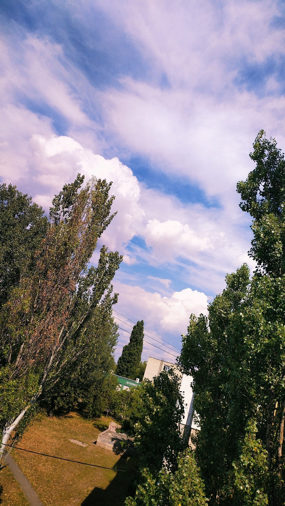 The image captures an overhead view of an urban setting, likely a courtyard or park area, in Horishni Plavni, Ukraine. The sky is a prominent feature, filled with a mix of white cumulus clouds and wispy, streaky cirrus clouds against a blue background, with a slight purple hue suggesting early morning or late afternoon light.
In the foreground and framing the scene, tall, leafy trees with dense green foliage are visible on the left and right. The trees on the left appear to be a mix of deciduous varieties, with some displaying a slight autumnal browning on their leaves. The ground below is covered in dry, golden-brown leaves, indicative of the autumn season. A section of pavement or a path is visible in the lower left corner.
In the mid-ground, there is a low, weathered brick structure, possibly remnants of a foundation or an old, disused outdoor feature. Beyond this, a green lawn area is partially visible, interspersed with more trees and shrubs. Further back, a multi-story building with a white facade and several windows is seen. A prominent green sign with white lettering, reading "TERREX," is affixed to the side of this building, suggesting a commercial establishment. Another, taller, dark green conical tree stands between the building and the foreground trees. Overhead power lines are visible crisscrossing the scene. No people or animals are present in the image, and no discernable actions are taking place. The overall environment suggests a somewhat neglected but natural urban space.