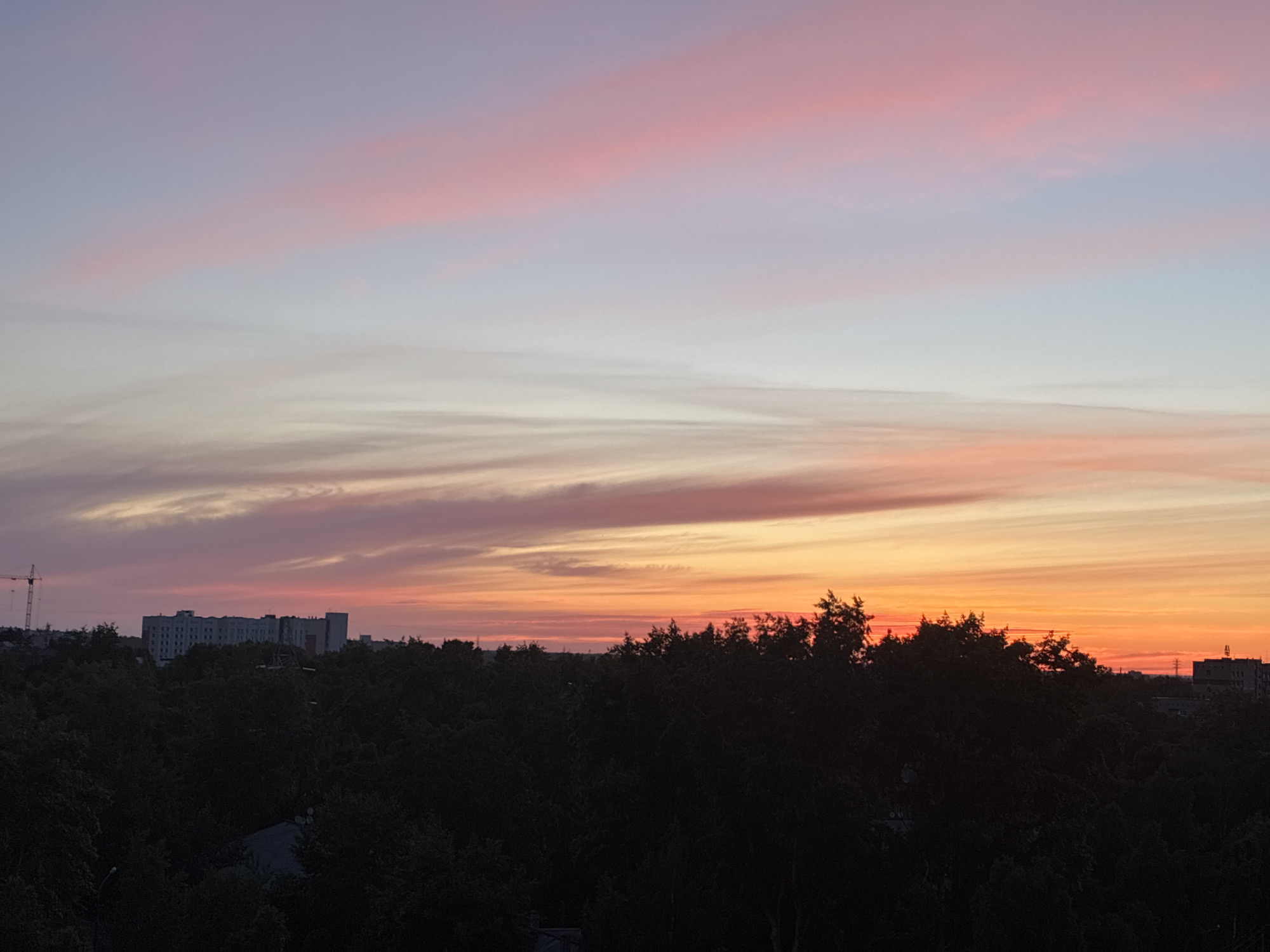 A wide-angle, eye-level, outdoor shot captures a dusky sky filled with streaks of pink, orange, and pale blue. The lower portion of the image is dominated by the dark silhouettes of dense trees, with a few buildings and a construction crane visible through the foliage. The sun is not visible but its presence is indicated by the bright orange glow on the horizon. The scene appears to be an urban landscape at dusk.