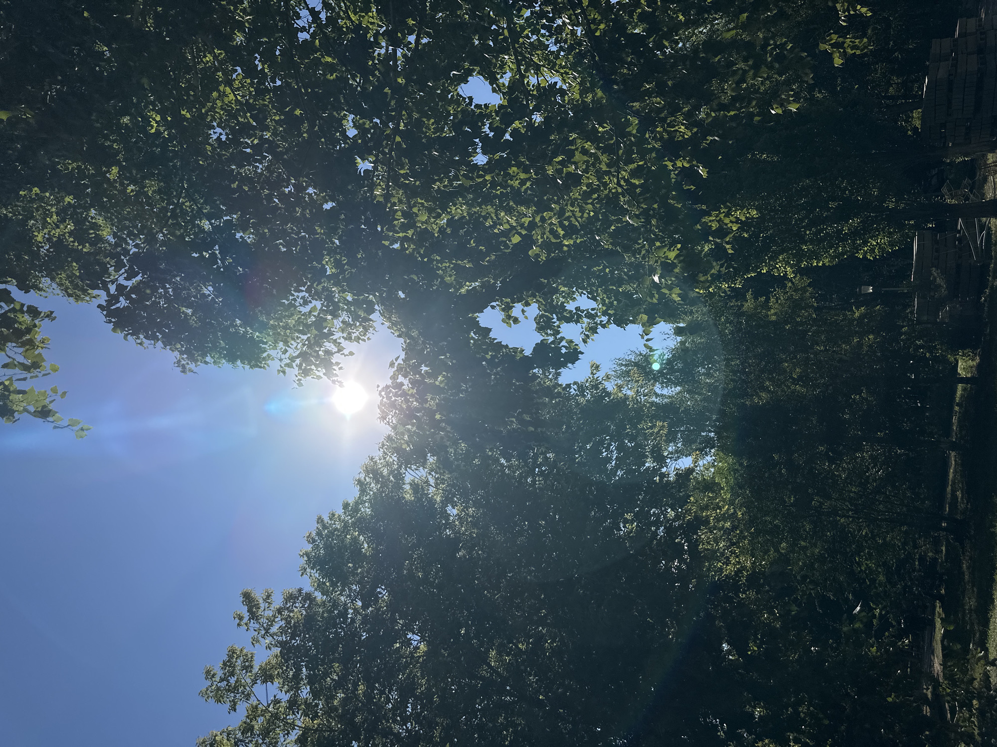 The image depicts a sun-drenched sky peeking through the dense green foliage of trees. The sun is a bright, central point of illumination, creating lens flare and a bright blue sky. The trees, with their lush leaves, create a canopy, with some branches and leaves extending into the frame. The lower portion of the image shows a dimly lit ground level with some foliage and what appear to be stacked materials, possibly bricks or paving stones. A lamppost is partially visible in the background. The overall scene suggests an outdoor environment, likely a park or garden area within the city of Kokshetau, Kazakhstan, bathed in bright daylight.