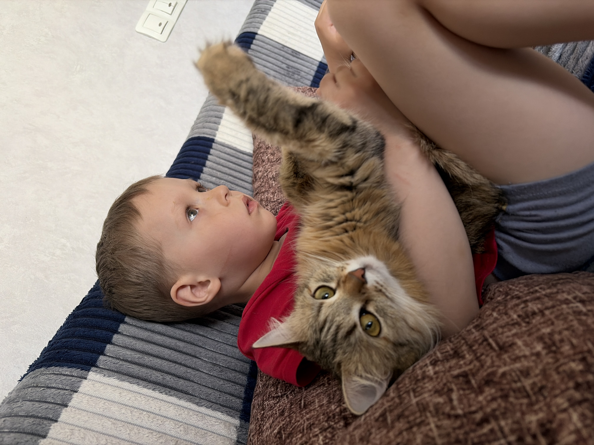 A child and a cat are lying down together. The child, with short brown hair, blue eyes, and wearing a red shirt, is lying on his back looking upwards, with his head resting on a gray and blue striped blanket. A long-haired tabby cat is upside down in the child's arms, facing the camera with green eyes, and one paw raised in the air. The child and cat are on a brown pillow. The location is the city of Chaikovsky, Russia. A person is sitting behind the child and cat. A white light switch is on the wall in the upper left corner.