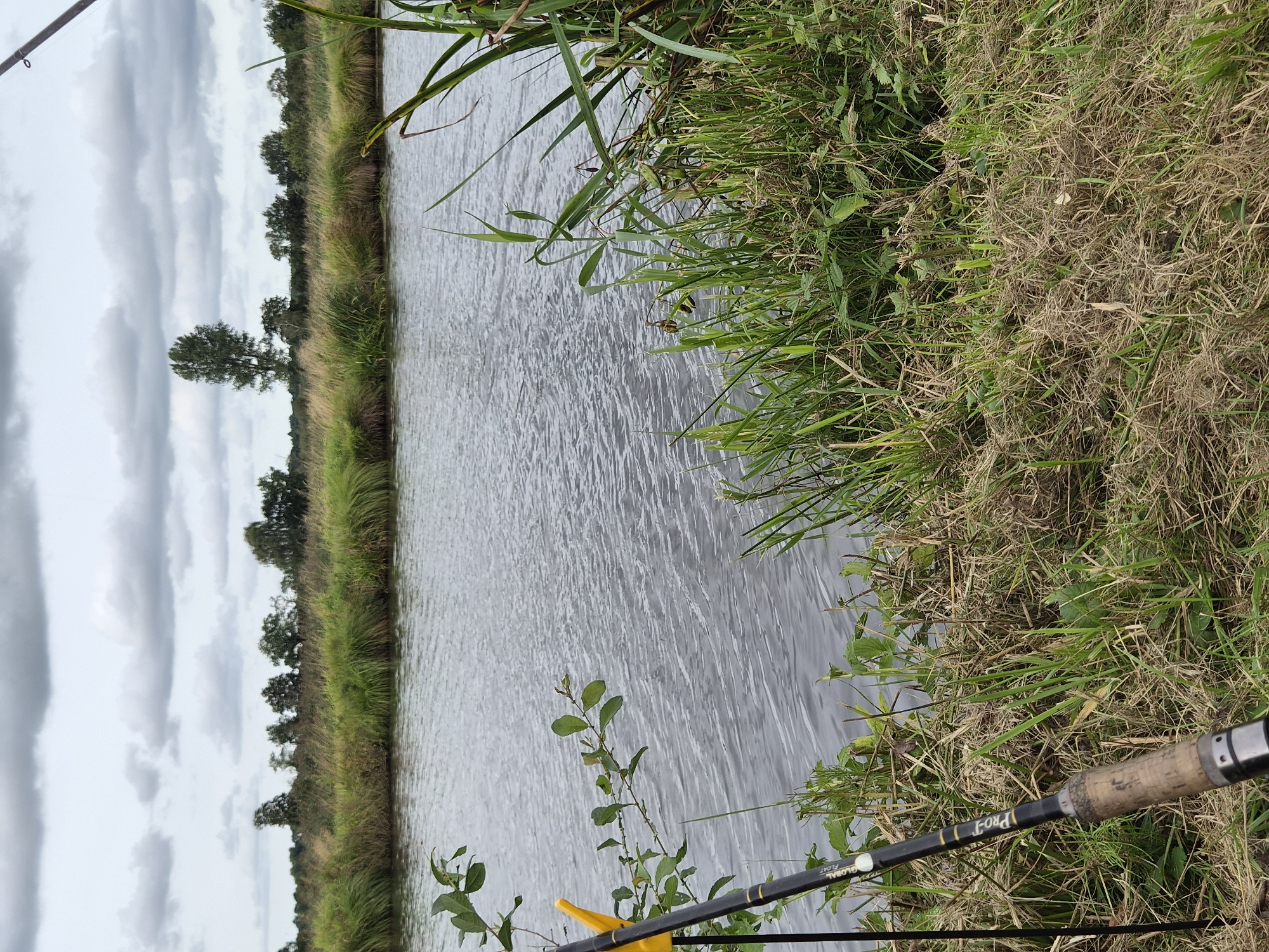 The image depicts a serene waterscape, likely a canal or river, on an overcast day. The foreground is dominated by the grassy bank of the waterway, featuring dry, straw-like grass mixed with greener, taller reeds. A fishing rod, with a cork handle and black and gold accents, is propped up by a yellow holder on the left side of the frame. The rod extends out of view towards the top right. Small green branches with leaves are visible on the left, near the fishing rod.
The water itself is a greyish-blue, with ripples indicating a gentle current. On the opposite bank, a dense line of tall green and brown grasses and reeds forms a natural barrier. Beyond this, a distant treeline with varied foliage stretches across the horizon, punctuated by a tall, slender tree standing out amongst the others. The sky is filled with heavy, grey clouds, suggesting a potentially rainy or gloomy day. The overall impression is one of a tranquil, natural setting, potentially in a rural or semi-rural area.
While the exact location within Geestland, Germany, cannot be definitively identified from the image alone, the landscape is consistent with the typical rural scenery found in the region, which is characterized by waterways, fields, and scattered woodlands.