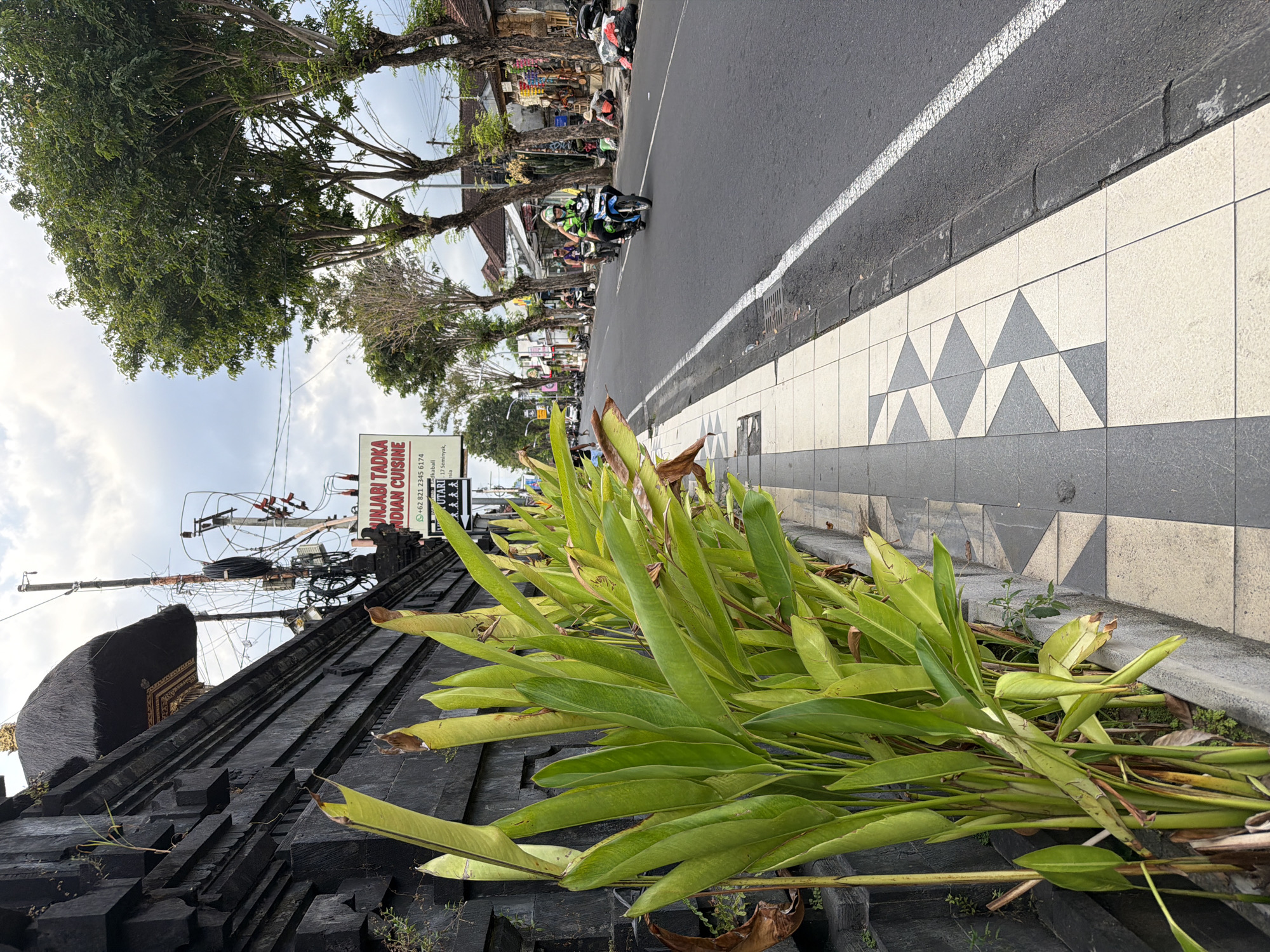 This image captures a daytime street scene in Kuta, Indonesia, viewed from a slightly low angle. In the immediate foreground, vibrant green, large-leafed plants, possibly Heliconia or similar tropical foliage, overflow from a dark, ornate stone structure on the left, which appears to be part of a traditional Balinese building or wall.
Adjacent to the plants, a concrete sidewalk features a distinctive pattern of light grey and white tiles arranged in repeating triangular motifs. Beyond the sidewalk lies an asphalt road with a white dashed line. A blue and black scooter is visible on the road, driven by a person wearing a green and black helmet and jacket, with a passenger behind them. Further down the street, other vehicles and pedestrians suggest a moderate level of activity.
Along the left side of the road, several trees with mature, gnarled trunks and green canopies line the street, partially obscuring the buildings and shops behind them. A large white sign is prominently displayed on the left, advertising "PUNJABI TADKA INDIAN CUISINE". Below the restaurant name, contact details are visible, including the phone number "+62 821 2345 6174" and the address "jl. Abimanyu / Dhyana Pura No. 17 Seminyak, Kuta, Bali, Indonesia". The word "MENU" is also discernible on the sign. Above the sign and structures, numerous utility poles with a dense network of electrical wires are visible against the sky.
The sky is bright with scattered white clouds, indicating it is daytime, likely late morning or early afternoon. The overall impression is that of a bustling street in a tropical environment.
