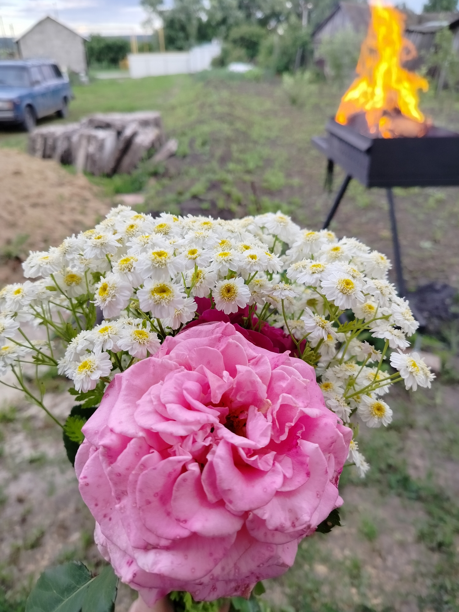 A close-up shot focuses on a bouquet of flowers in the foreground. The bouquet consists of a large pink rose in the center and a cluster of small white flowers with yellow centers surrounding it. The background is blurred, but it appears to be an outdoor setting. To the left, a blue car is parked in front of a simple grey building. In the middle ground, several large, weathered logs are visible. To the right, a black metal grill with a large fire burning in it stands on a tripod. The ground is covered in dry grass and dirt. The sky above is overcast. The scene is set in a rural area, likely the village of Vazerki, Russia, suggested by the presence of a car, a grill with a fire, and simple rural buildings.