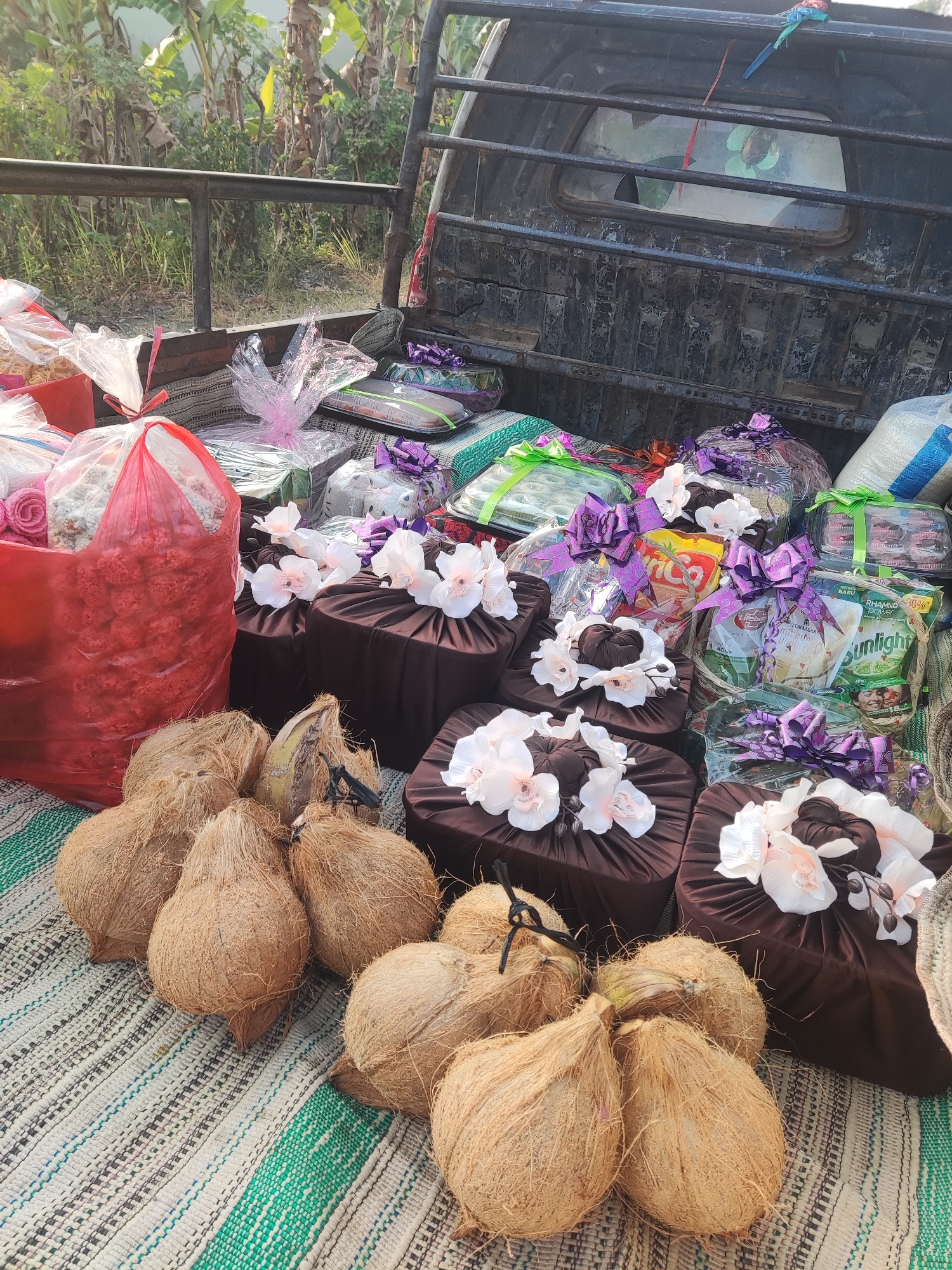 In Ngentrong, Indonesia, a pickup truck bed is filled with gifts and coconuts. The gifts are primarily food items and are wrapped in clear plastic with purple ribbon accents. Some of the gifts appear to be boxed sweets or snacks, while others are larger, possibly cakes or larger food arrangements. Several brown fabric-covered boxes are also present, each adorned with white artificial flowers. In front of the gifts, a pile of coconuts, still in their husks, rests on a woven mat. A large red plastic bag filled with what appears to be more red flowers or flower garlands is also visible. The background shows lush green foliage and trees, indicating a rural or semi-rural setting. The truck itself appears weathered, with a black metal frame around the bed and a cracked rear window. The overall scene suggests a preparation or delivery of items for an event, possibly a wedding or celebration, in the village of Ngentrong.