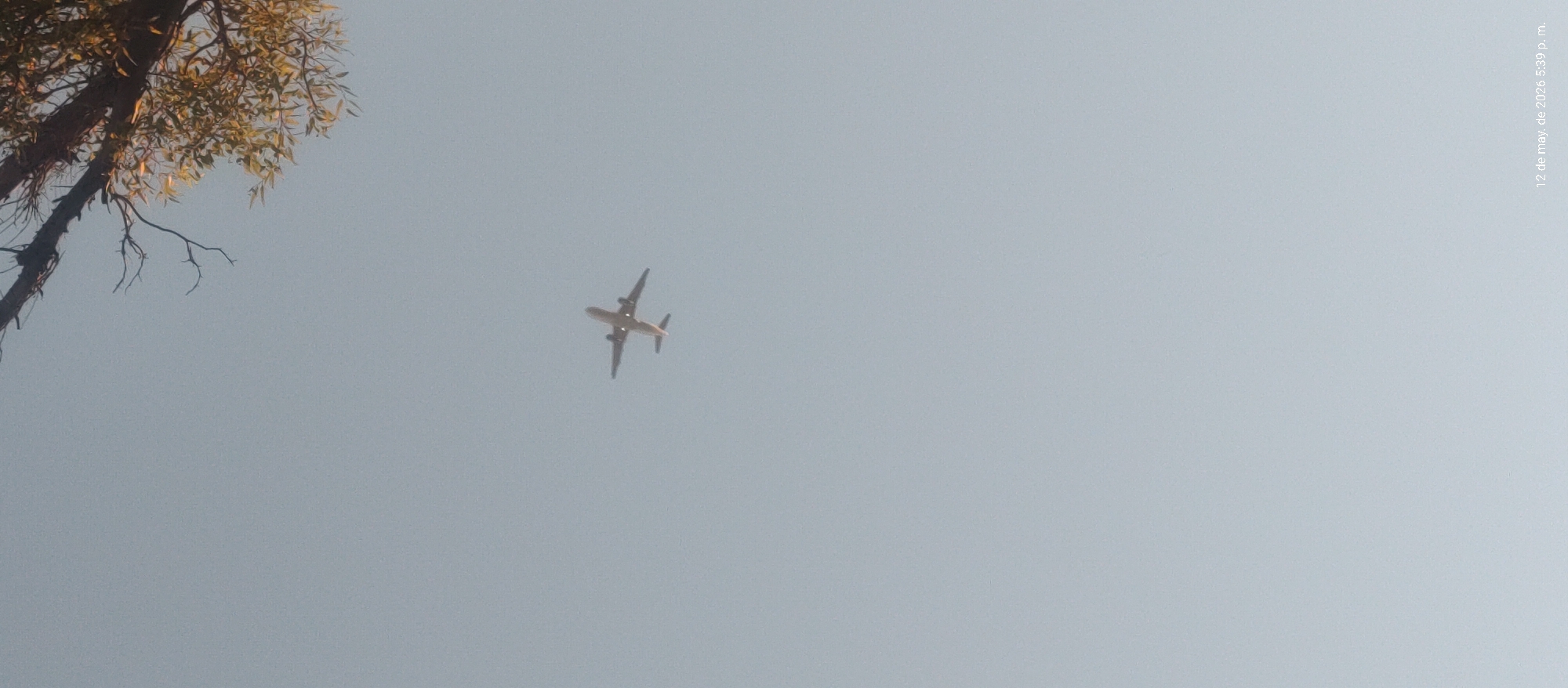 The image depicts a passenger airplane in flight, viewed from below against a pale blue sky. A tree branch with leaves is visible in the upper left corner. Text indicating the date and time, "12 de may. de 2026 5:39 p. m.", is present in the upper right corner of the image. The location is inferred to be Villa Domínico, Argentina. No people are visible.