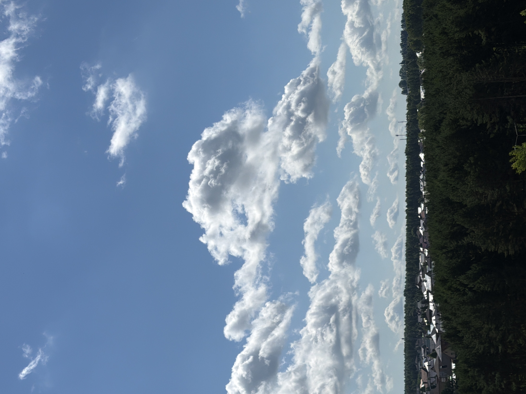 The image shows a vast expanse of blue sky dotted with fluffy white clouds. Below the sky, a dense green forest stretches across the horizon, with the tops of tall pine trees forming a dark, textured band. Beyond the forest, a small town or village is visible, characterized by a cluster of houses with a variety of roof shapes and colors. Some of the houses appear to have white or light-colored roofs, while others have darker tones. In the far distance, silhouetted against the sky, are a few slender towers, possibly communication masts or radio towers. The overall impression is one of a rural or suburban landscape under a bright, partly cloudy sky.